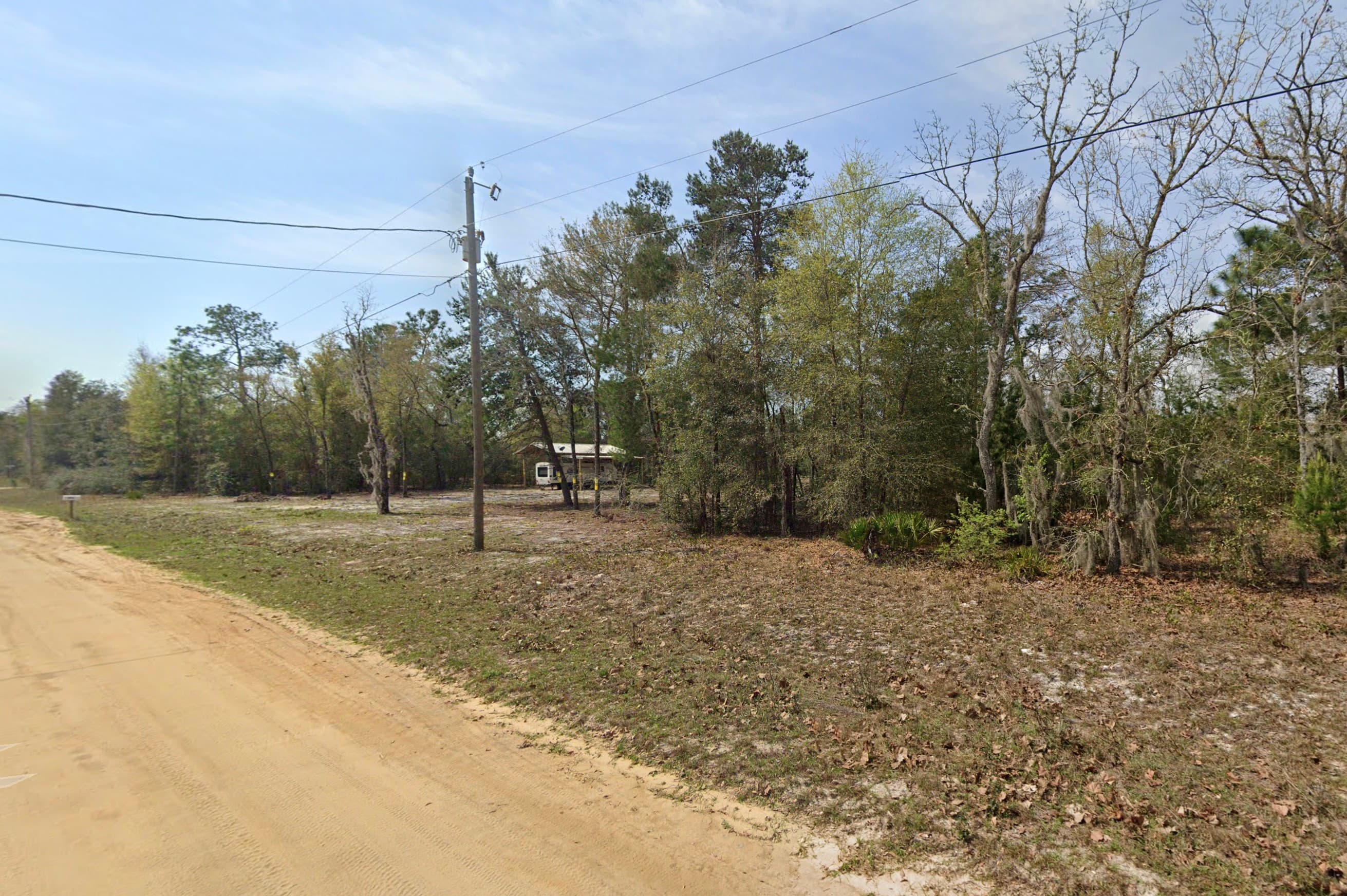 Dirt road running past mixed pine and hardwood forest in Putnam County, Florida.