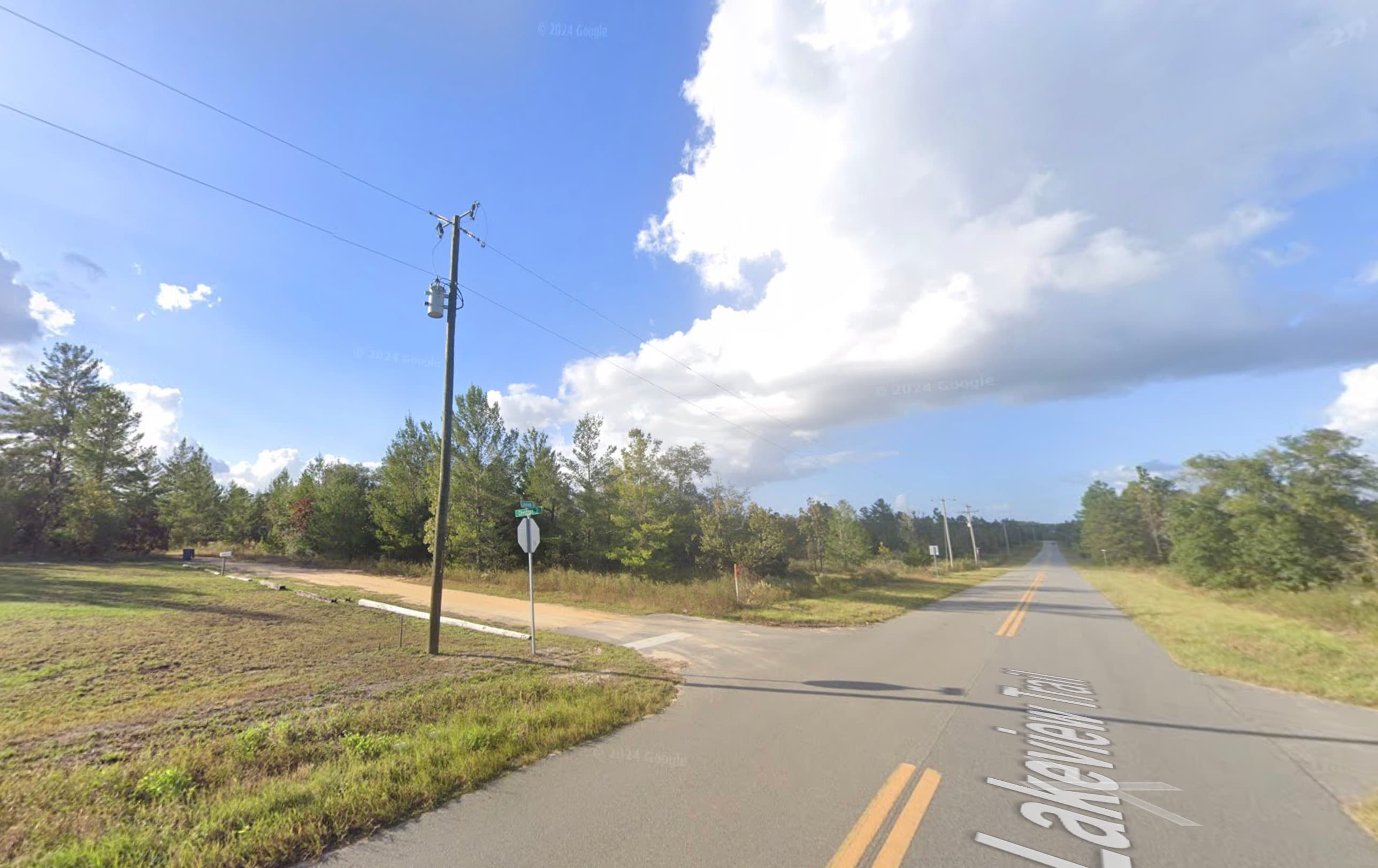 Paved rural road lined with pine and mixed forest in Putnam County, Florida.