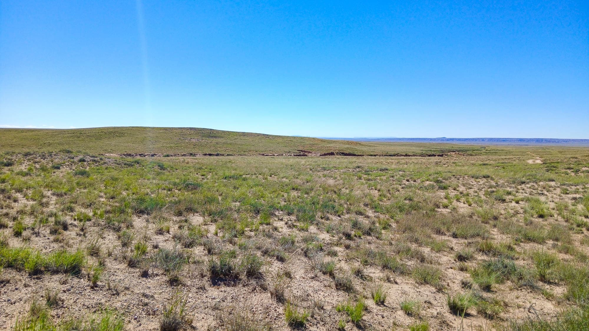 Ground-level perspective from the northeast corner looking toward the southwest across the parcel in Navajo County, Arizona.