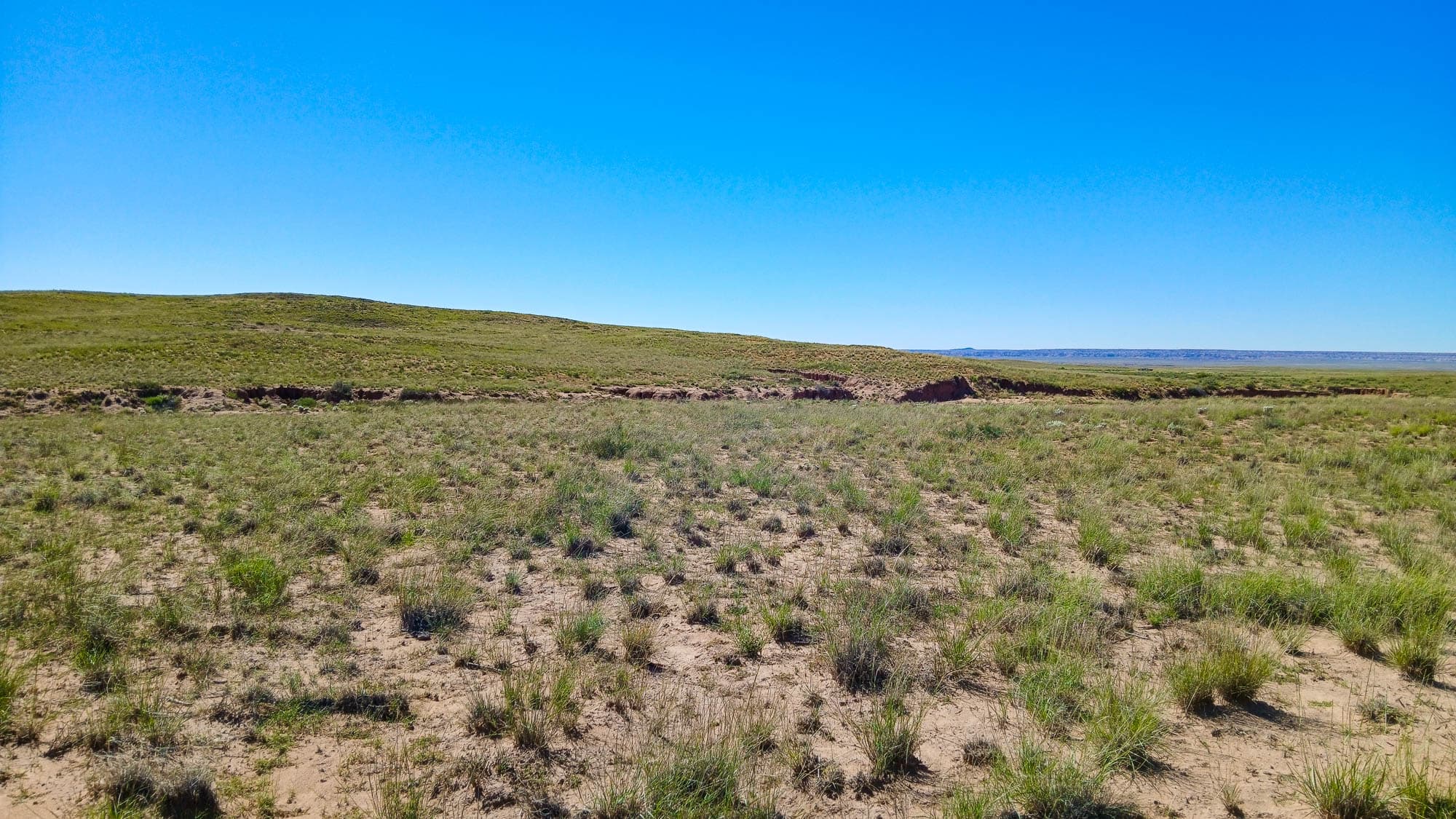 Ground-level view looking southwest from the southwest corner across scattered grasses in Navajo County, Arizona.