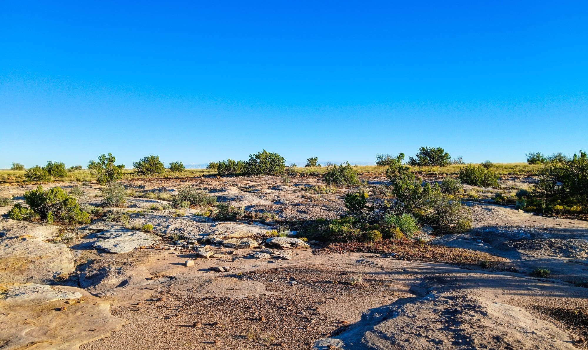 Ground-level view from northwest corner across grassland and brush terrain in Navajo County, Arizona.