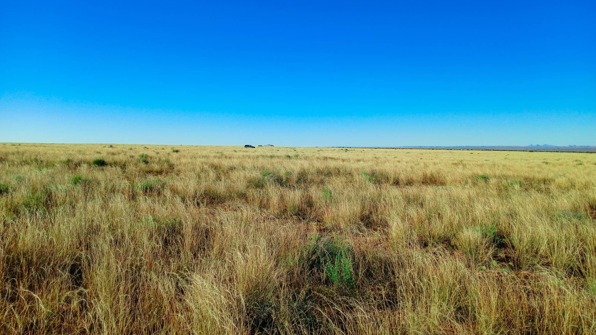 Southeast corner facing northwest across open grassland in Navajo County, Arizona.