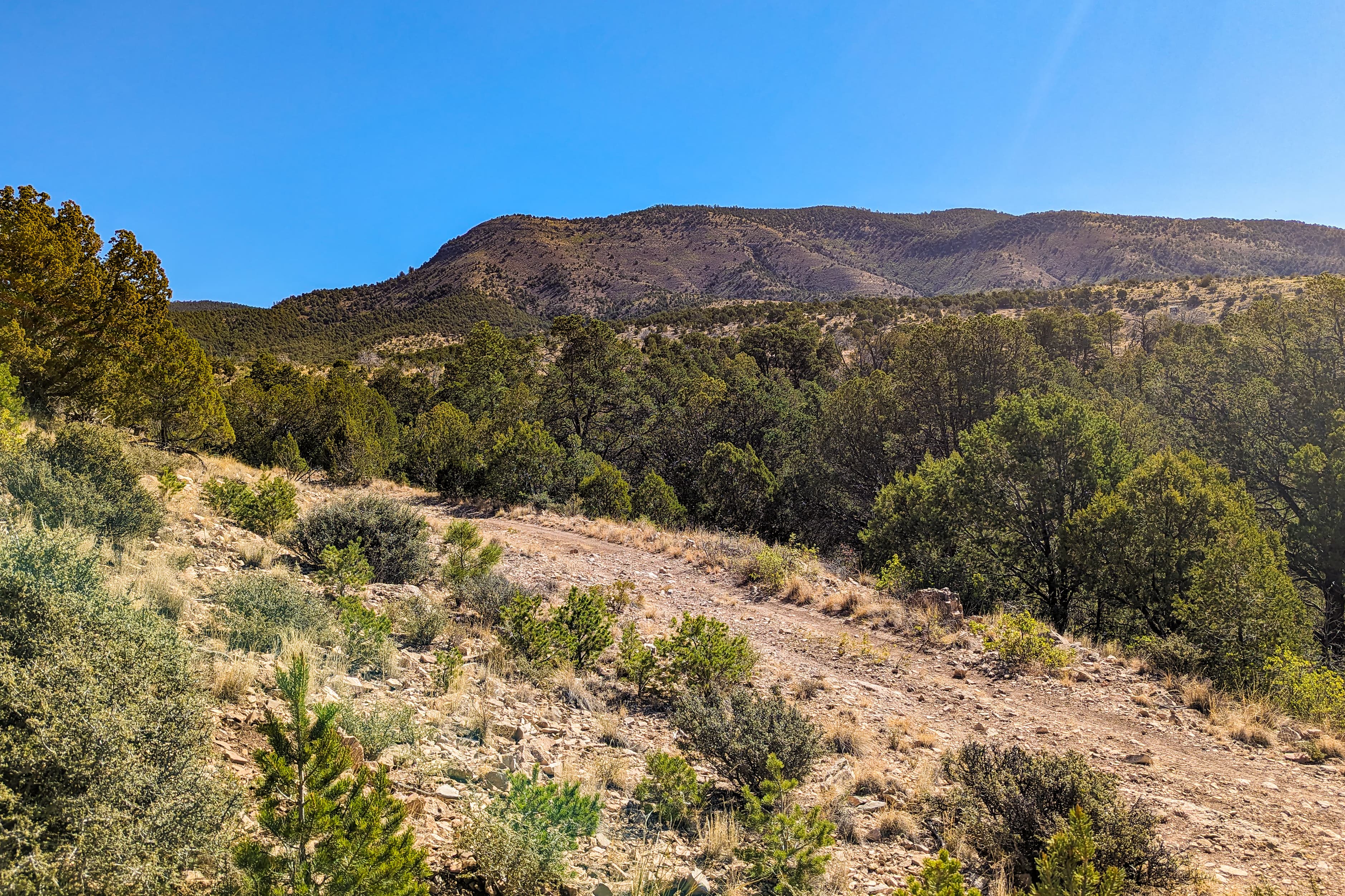 Ground view from west border looking northeast toward Sacramento Mountains in Otero County, New Mexico.