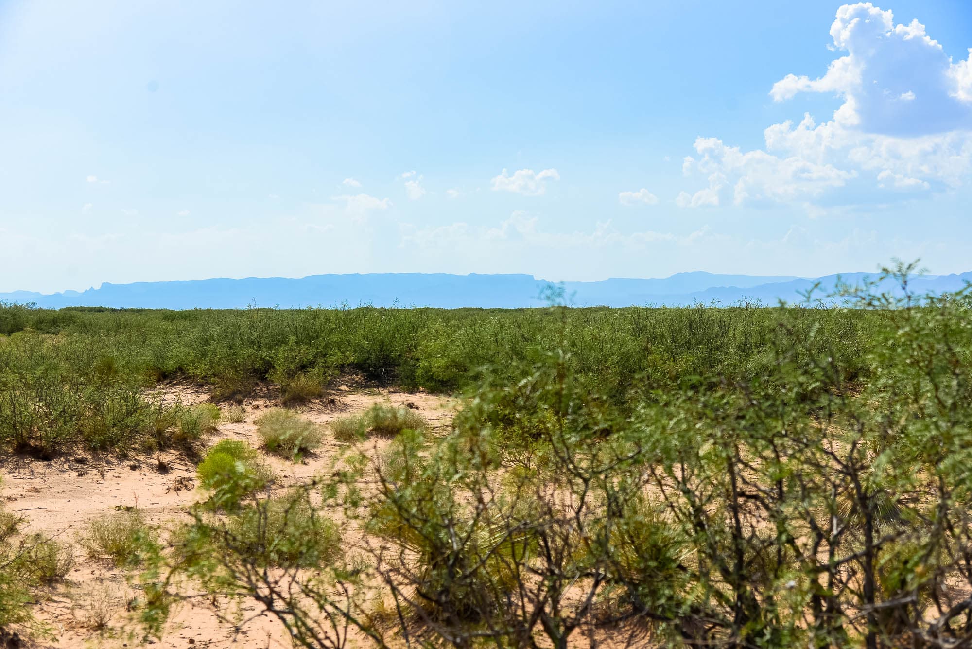 Low desert vegetation and open ground visible from the northeast corner in Culberson County.