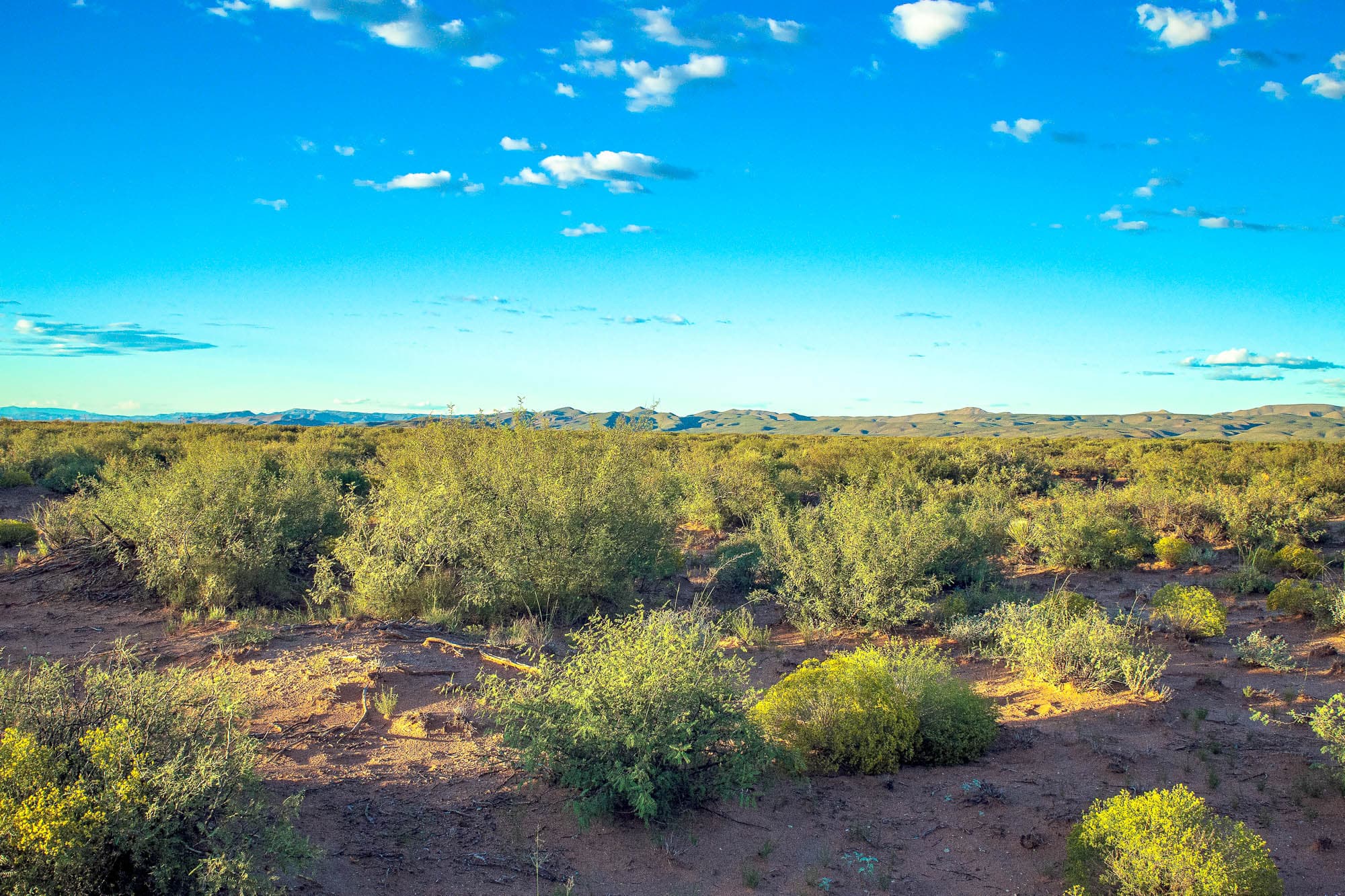 Desert scrubland with low brush extending toward distant mountains in Culberson County, West Texas.