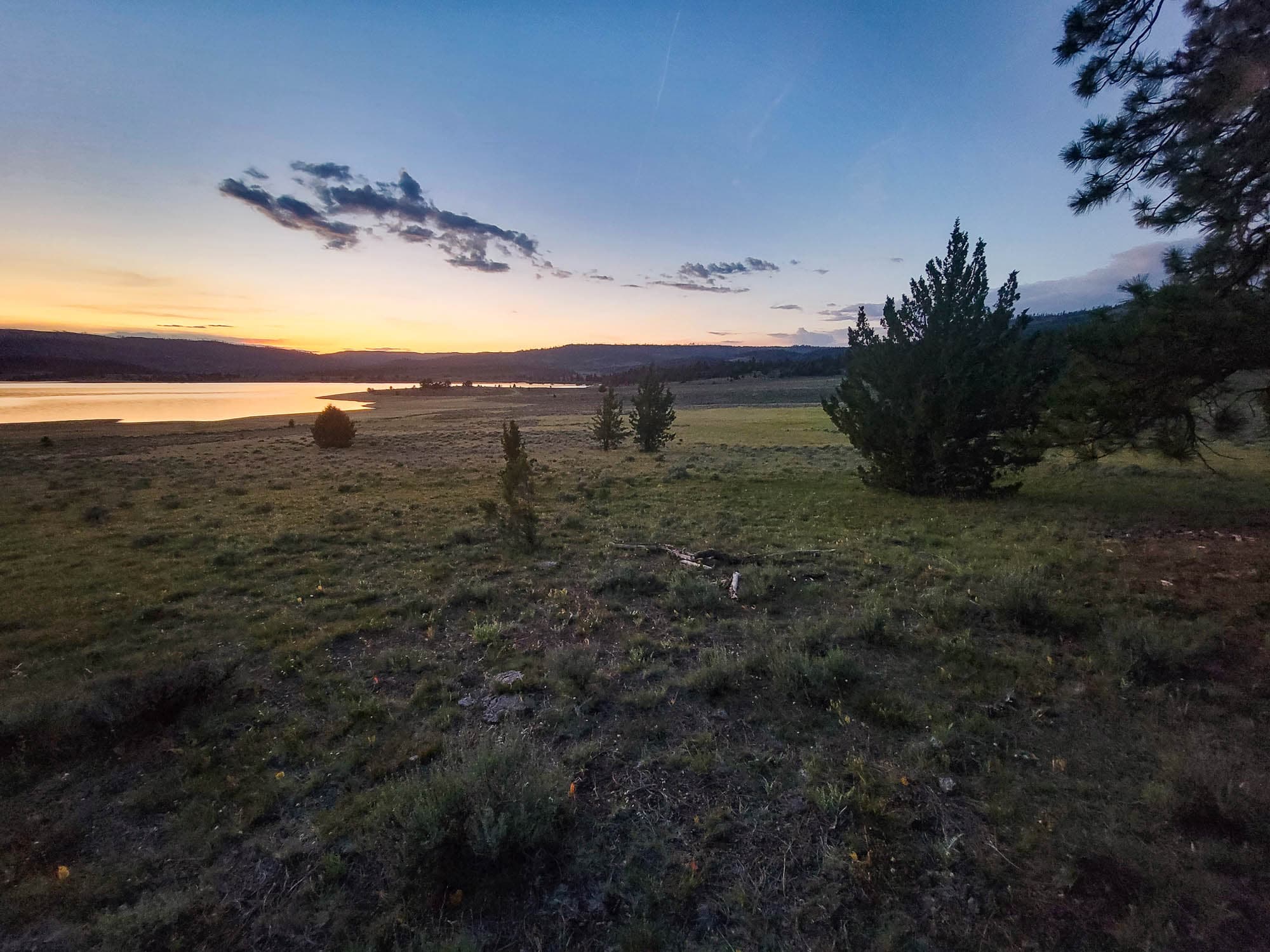 Meadow with sagebrush and conifer forest extending northward from the southeast edge of the parcel in Lake County, Oregon.