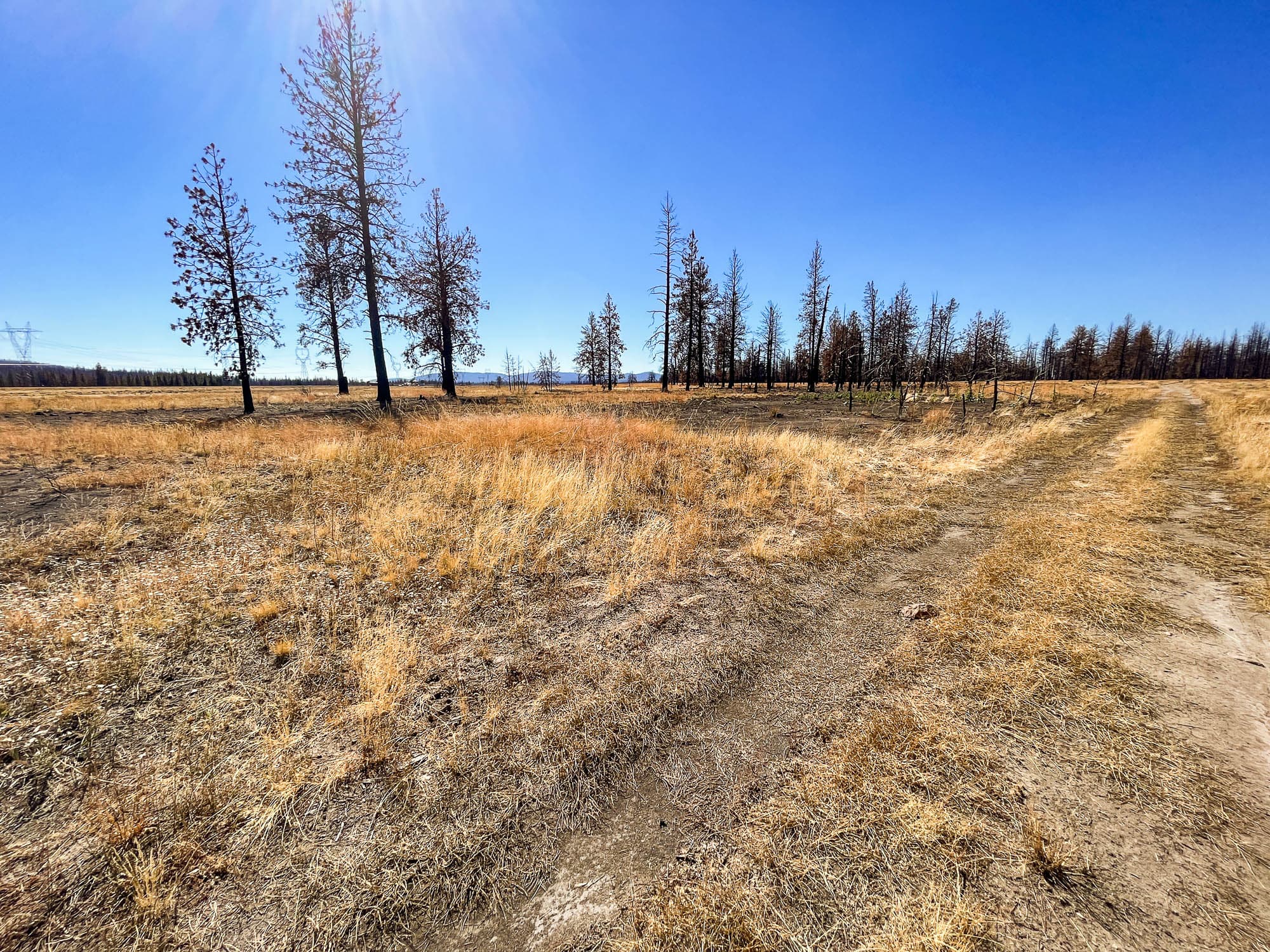 Sparse grassland and open terrain with burned forest visible in the distance in Klamath County, Oregon.