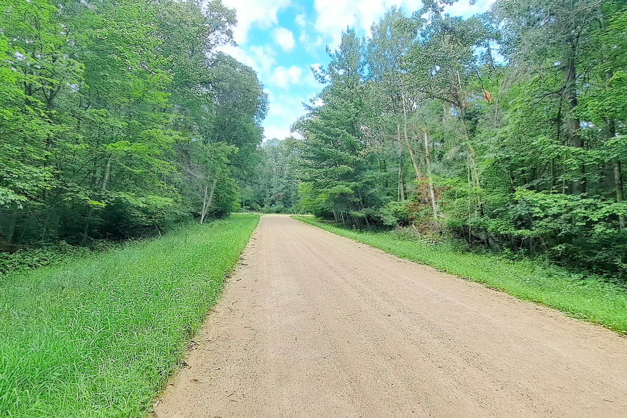 Extended view down gravel driveway flanked by mature trees and green lawn borders in Todd County, Minnesota.