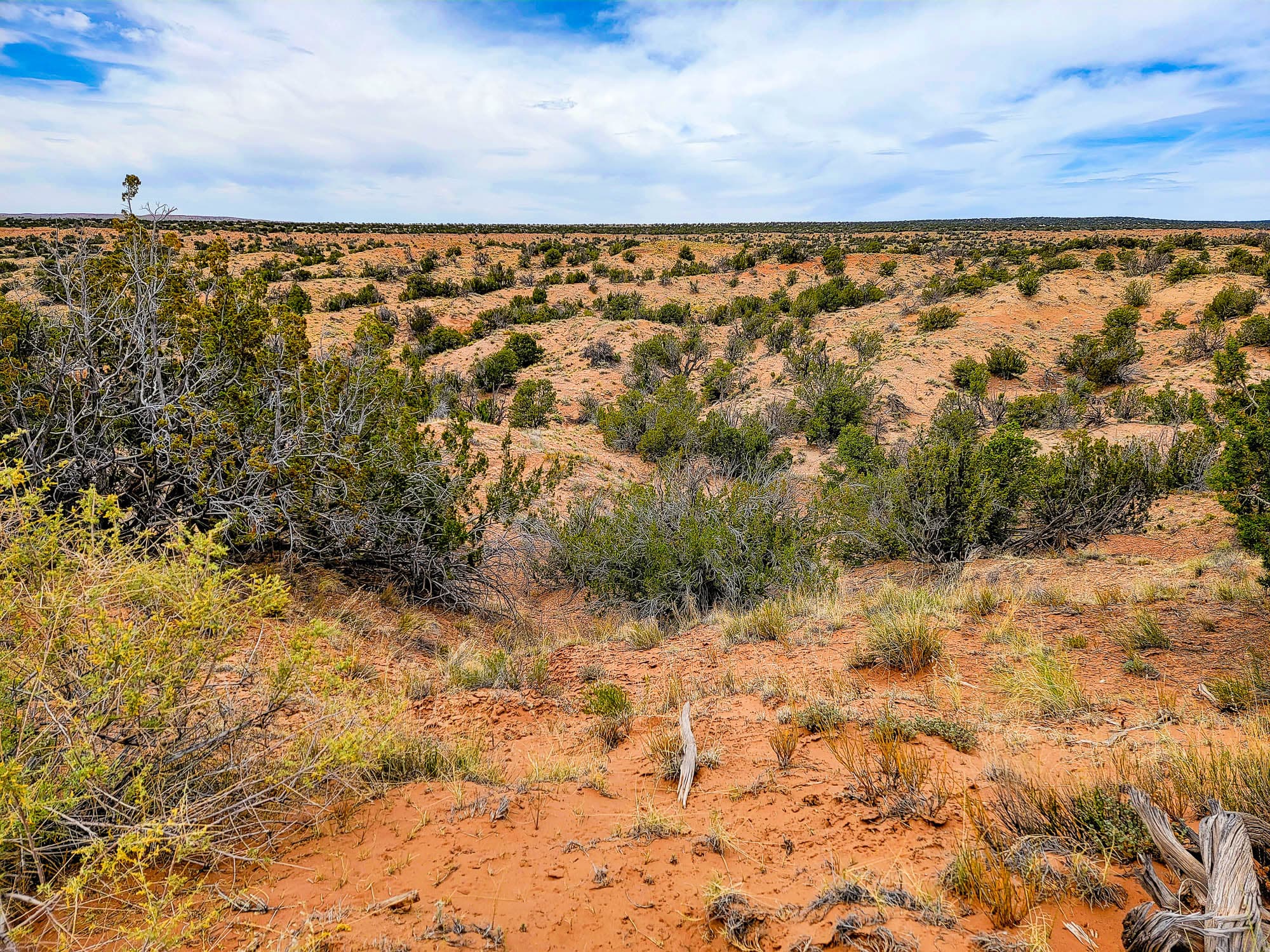 Aerial photo of 2.5 acres with sparse vegetation and reddish soil in Apache County, Arizona.