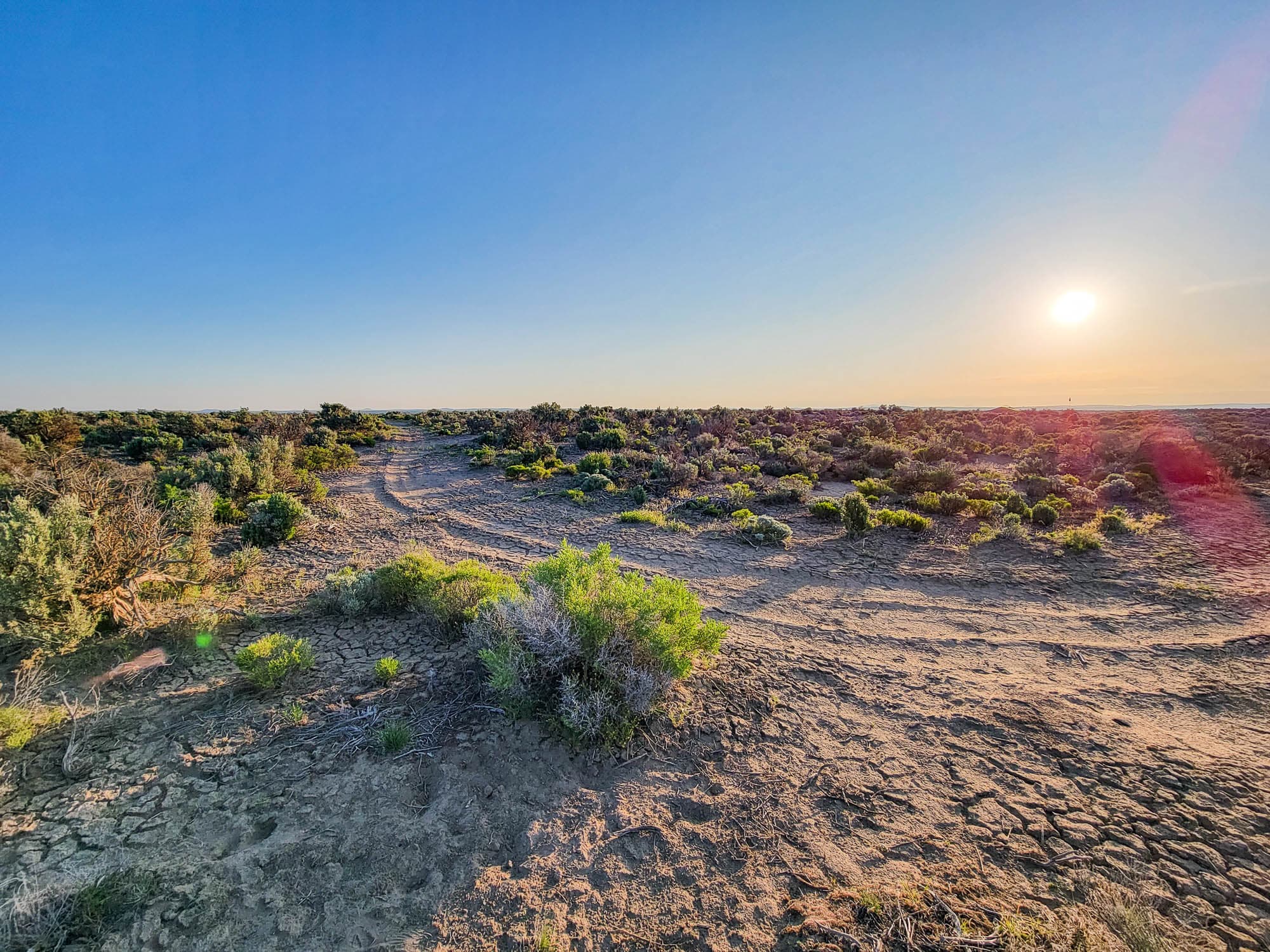 Sparse vegetation and flat terrain visible looking northeast from the northeast corner in Lake County, Oregon.