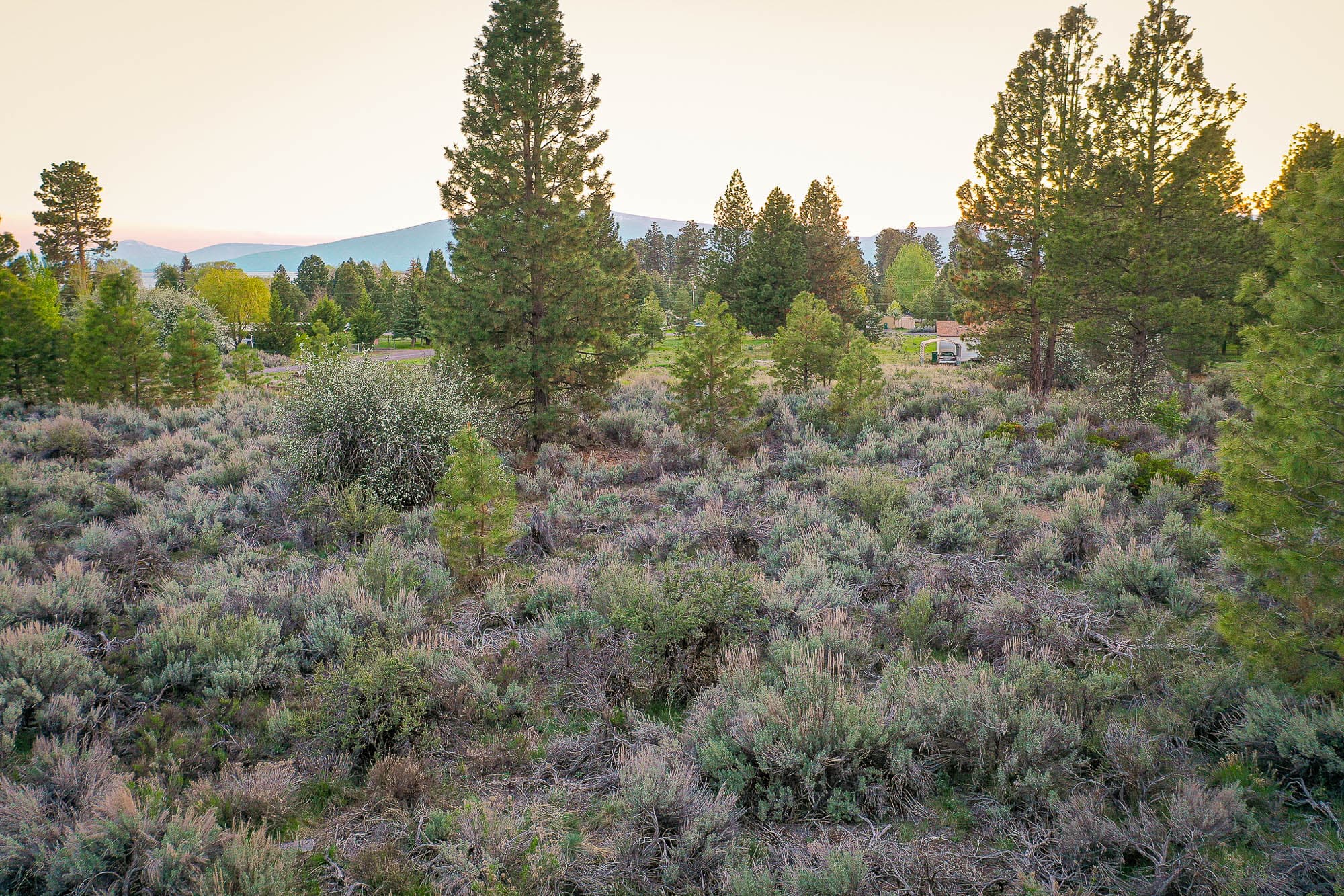 Ground-level photo of a 0.22-acre parcel in Klamath County, Oregon.