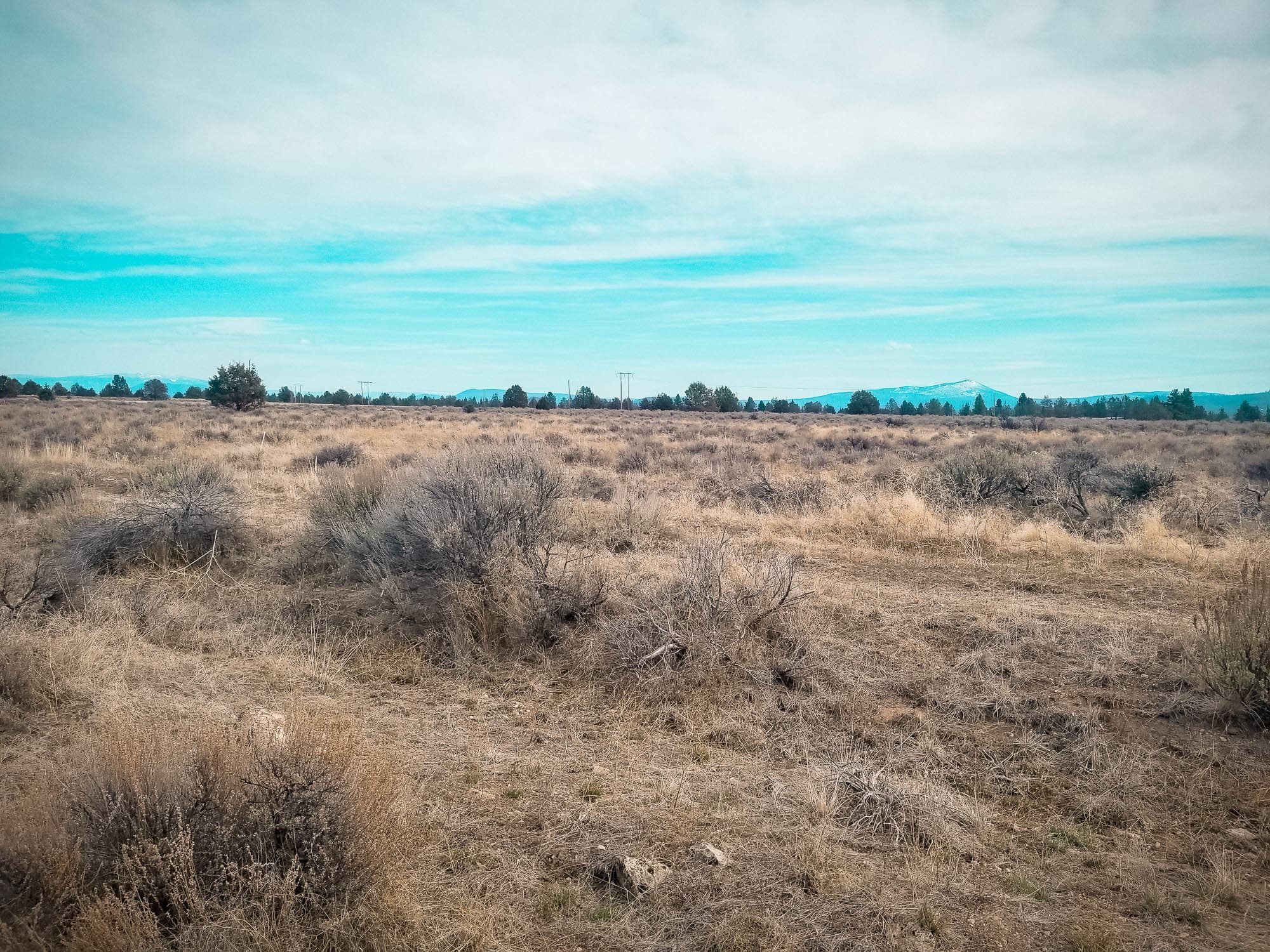 Ground-level view of sagebrush scrub and open terrain from the southeast corner in Klamath County, Oregon.