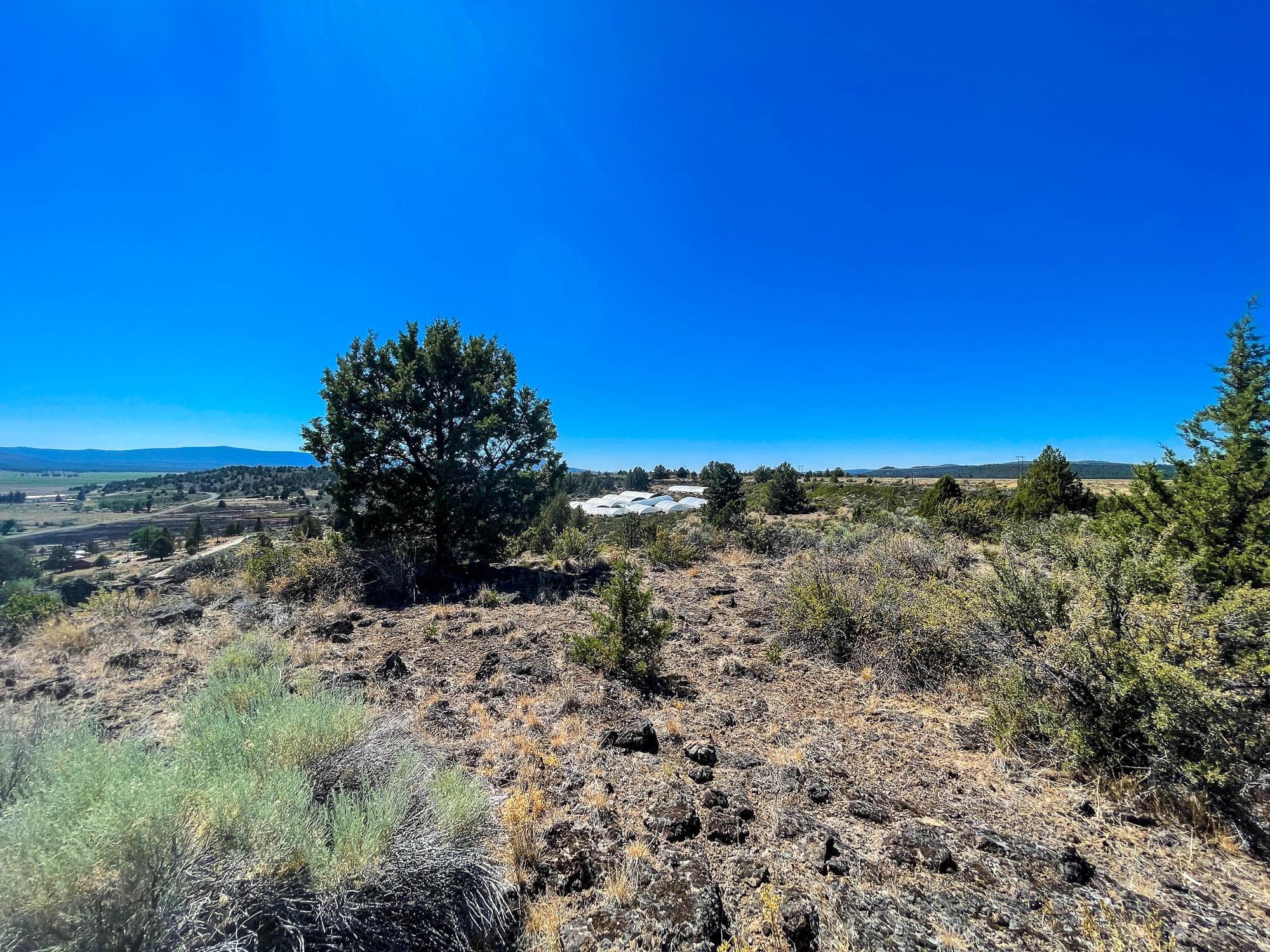 Mixed grassland and conifers with distant mountain range visible across the landscape in Klamath County, Oregon.