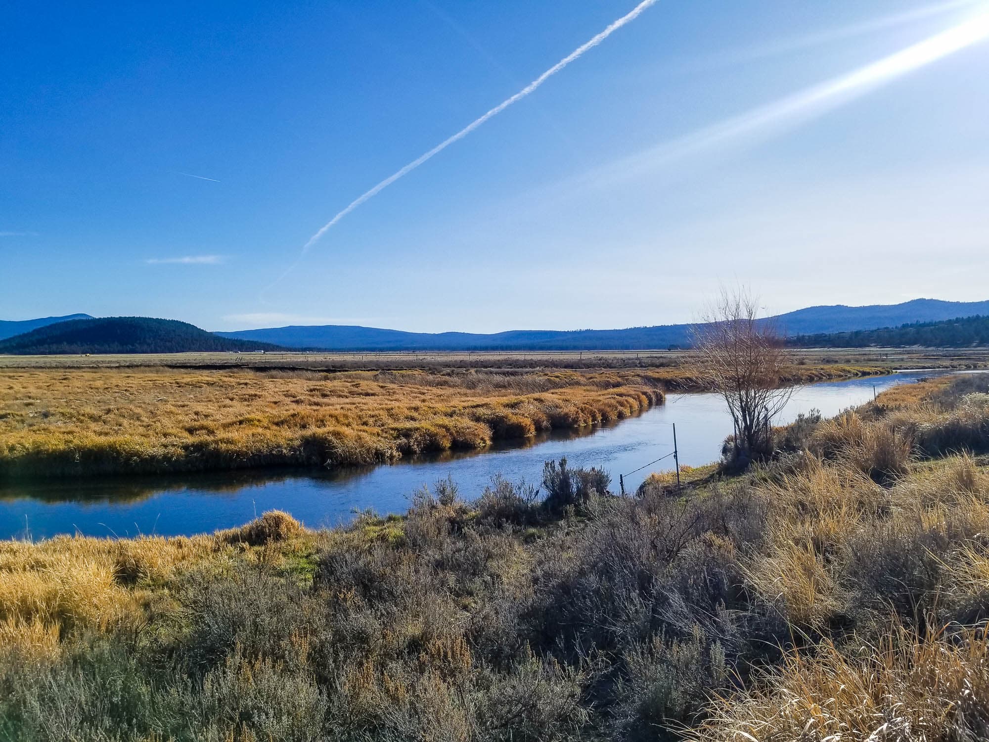 Ground view from the southeast corner of scattered sagebrush and grass looking toward mountains in Klamath County, Oregon.