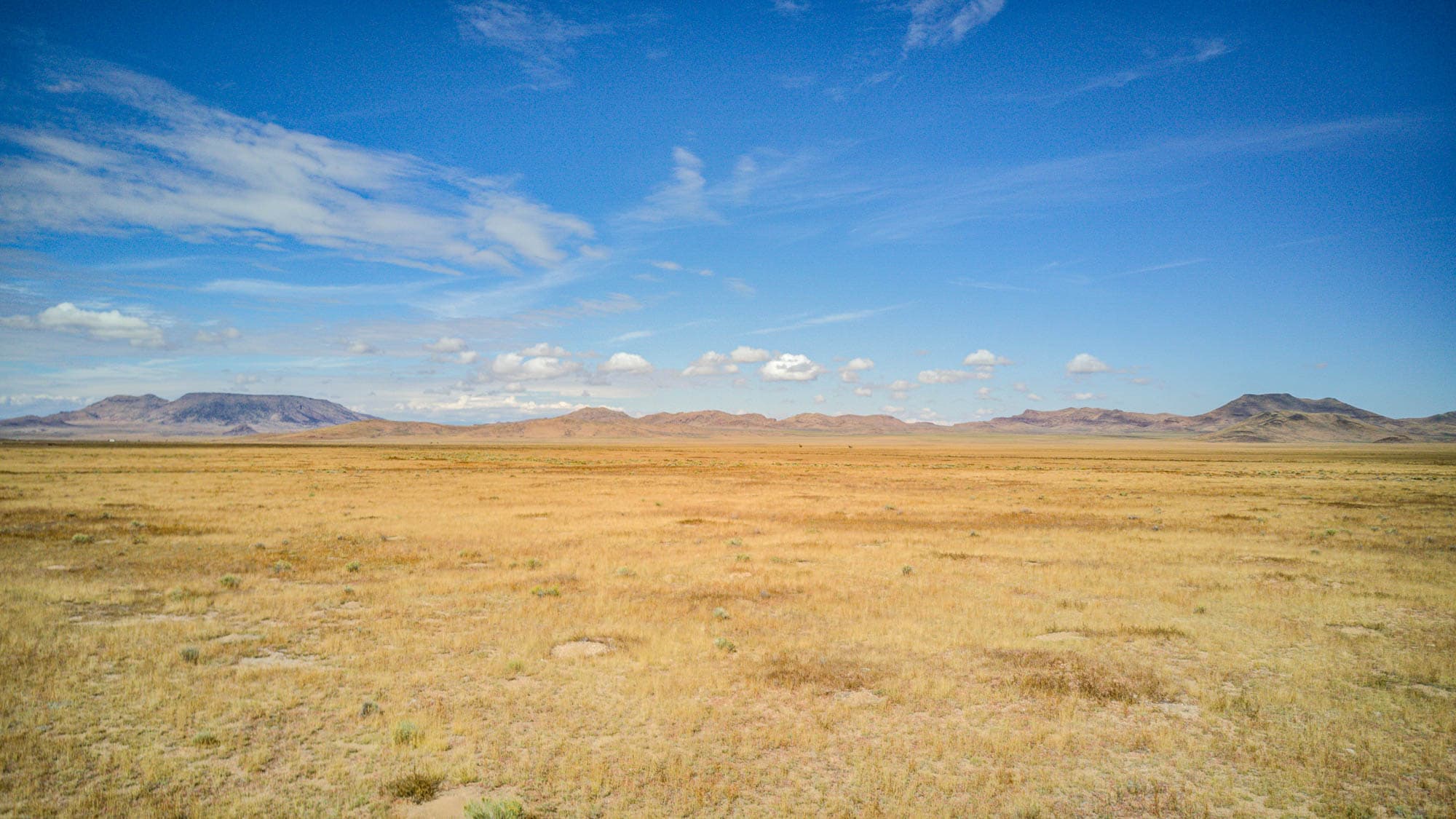 Distant mountains frame the northern boundary of this sagebrush parcel in Costilla County, Colorado.