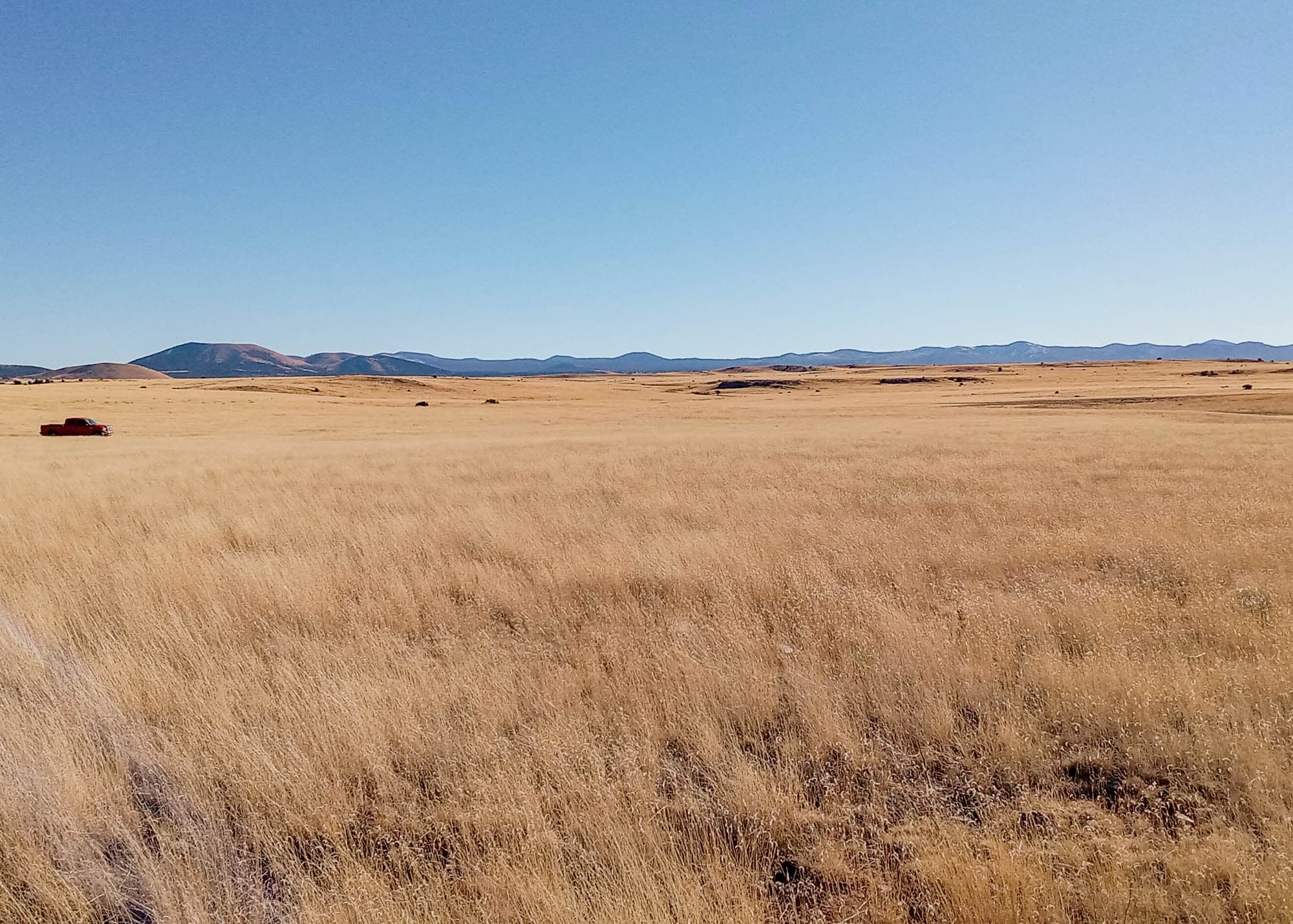 Distant ridgeline visible across open grassland with scattered vegetation on the parcel in Apache County, Arizona.
