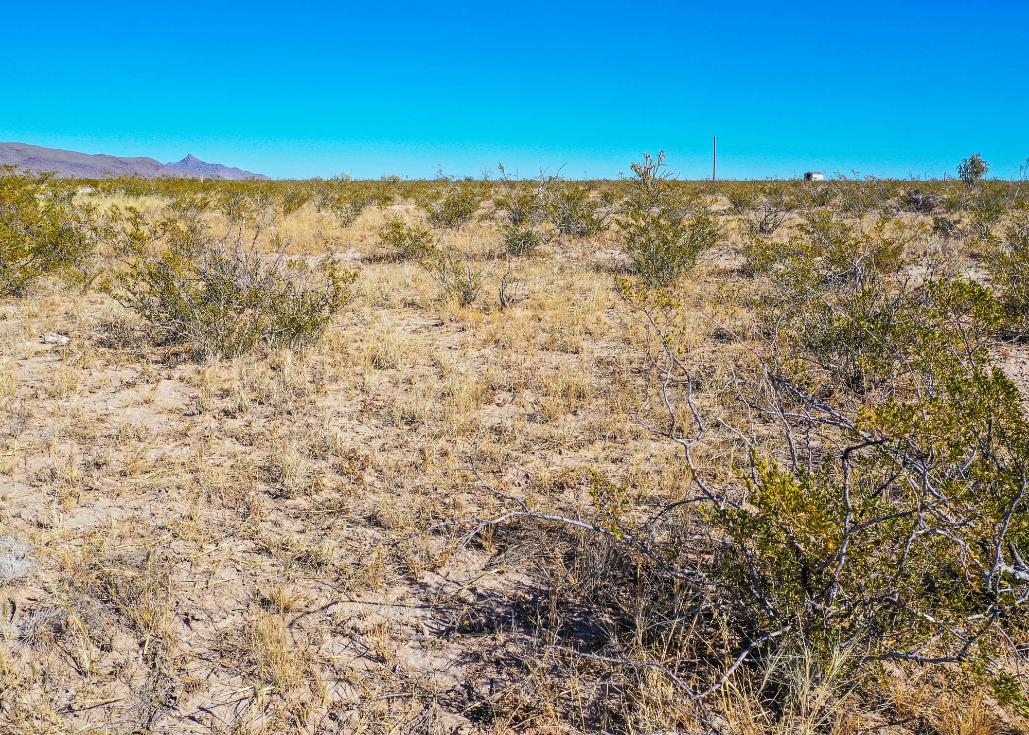 Wide-open desert landscape with minimal vegetation and clear horizons in Hudspeth County, West Texas.