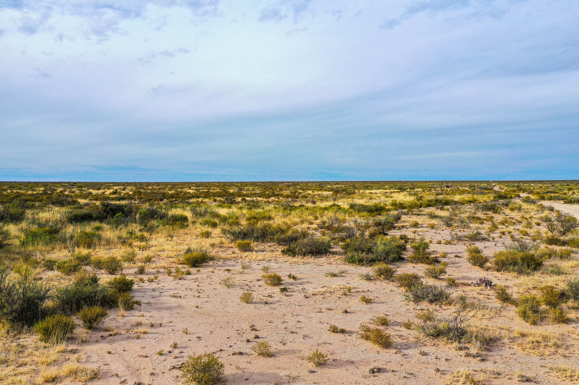 Flat desert floor with scattered vegetation and mountains visible on the horizon in Hudspeth County, West Texas.
