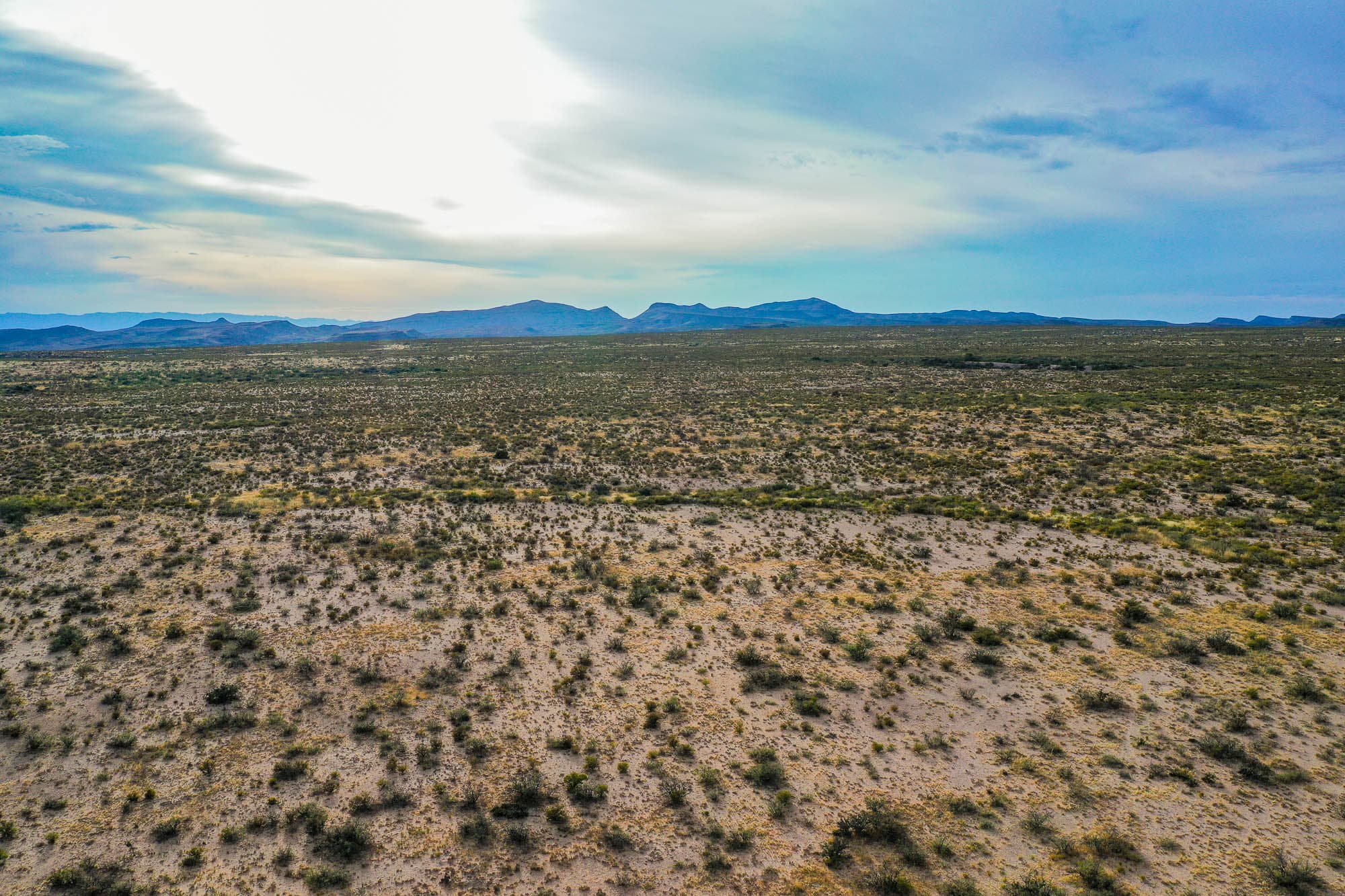 Dry wash or creekbed area with denser vegetation and shrub growth along the drainage in West Texas.