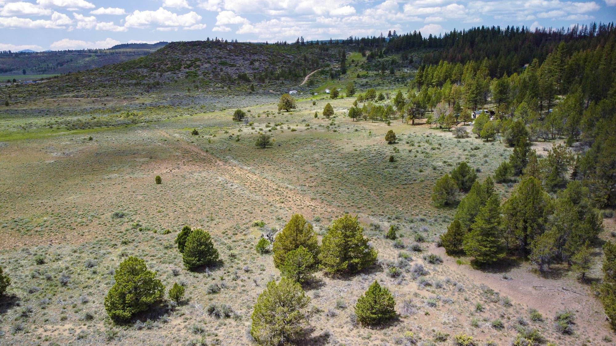 Drone photo showing scattered conifer trees across open sagebrush terrain in Klamath County, Oregon.