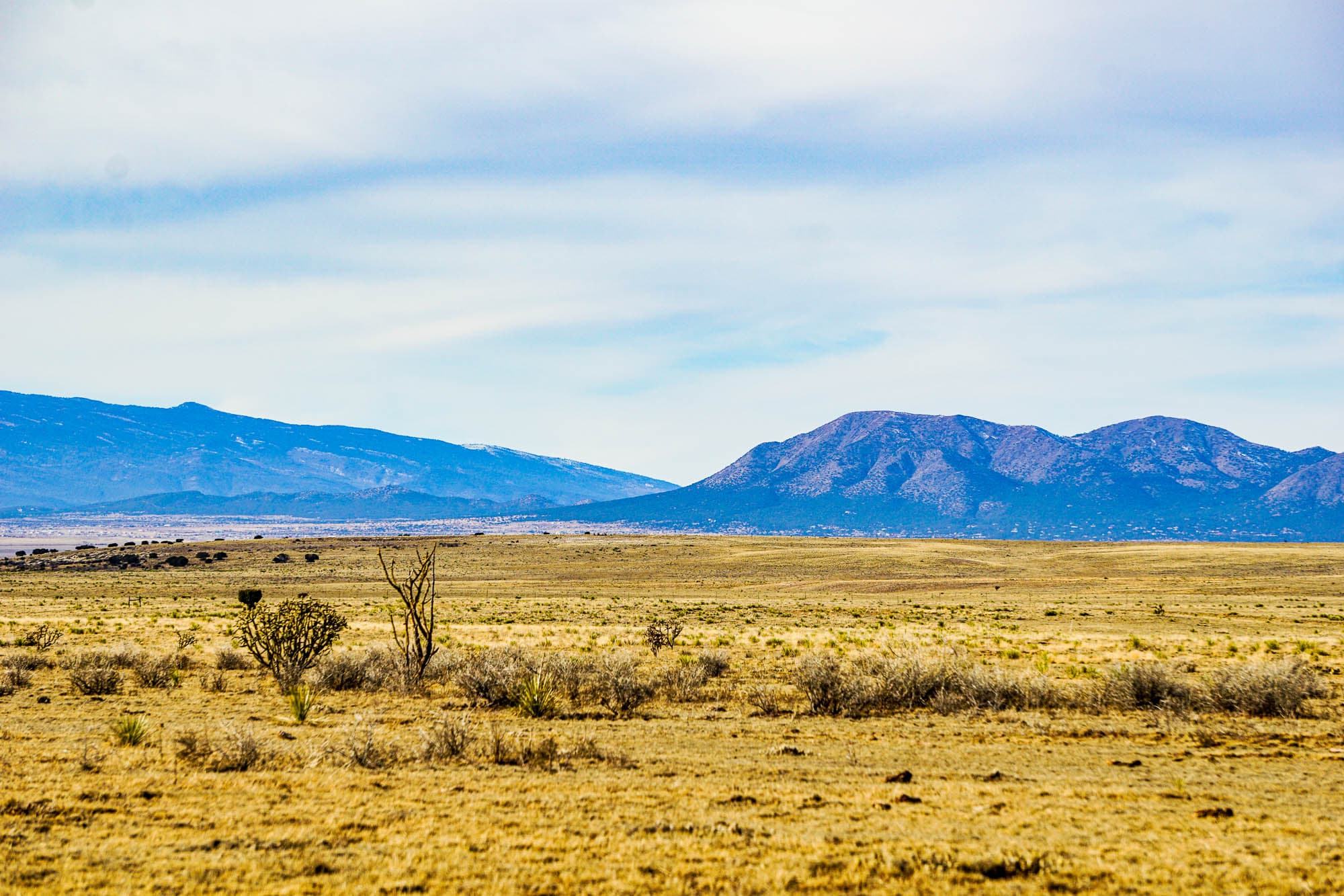 Dirt road cuts through grassland toward distant mountains in rural Torrance County, New Mexico.