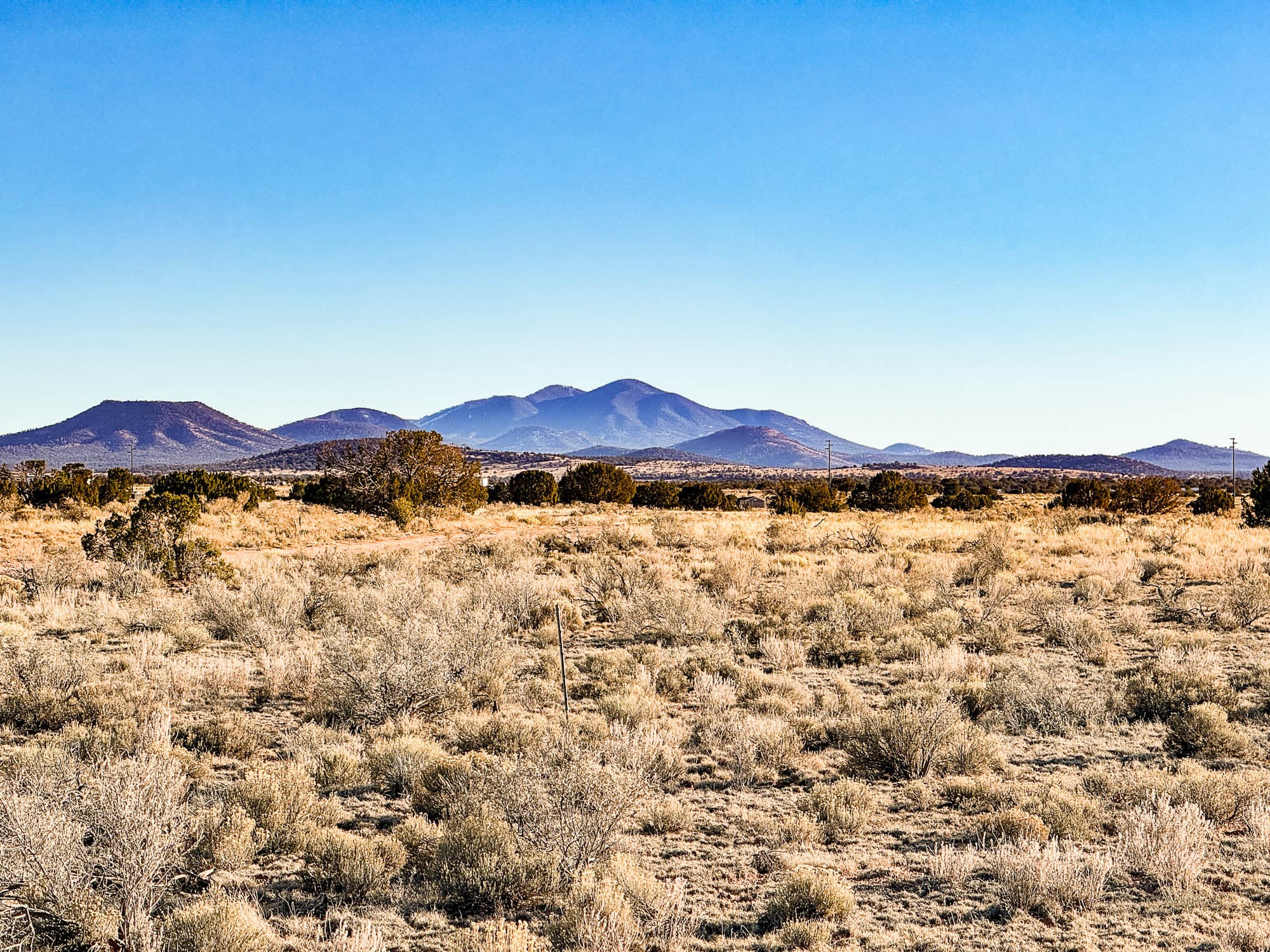 Low sagebrush and dried grasses under clear sky in typical high-desert terrain, Coconino County, Arizona.