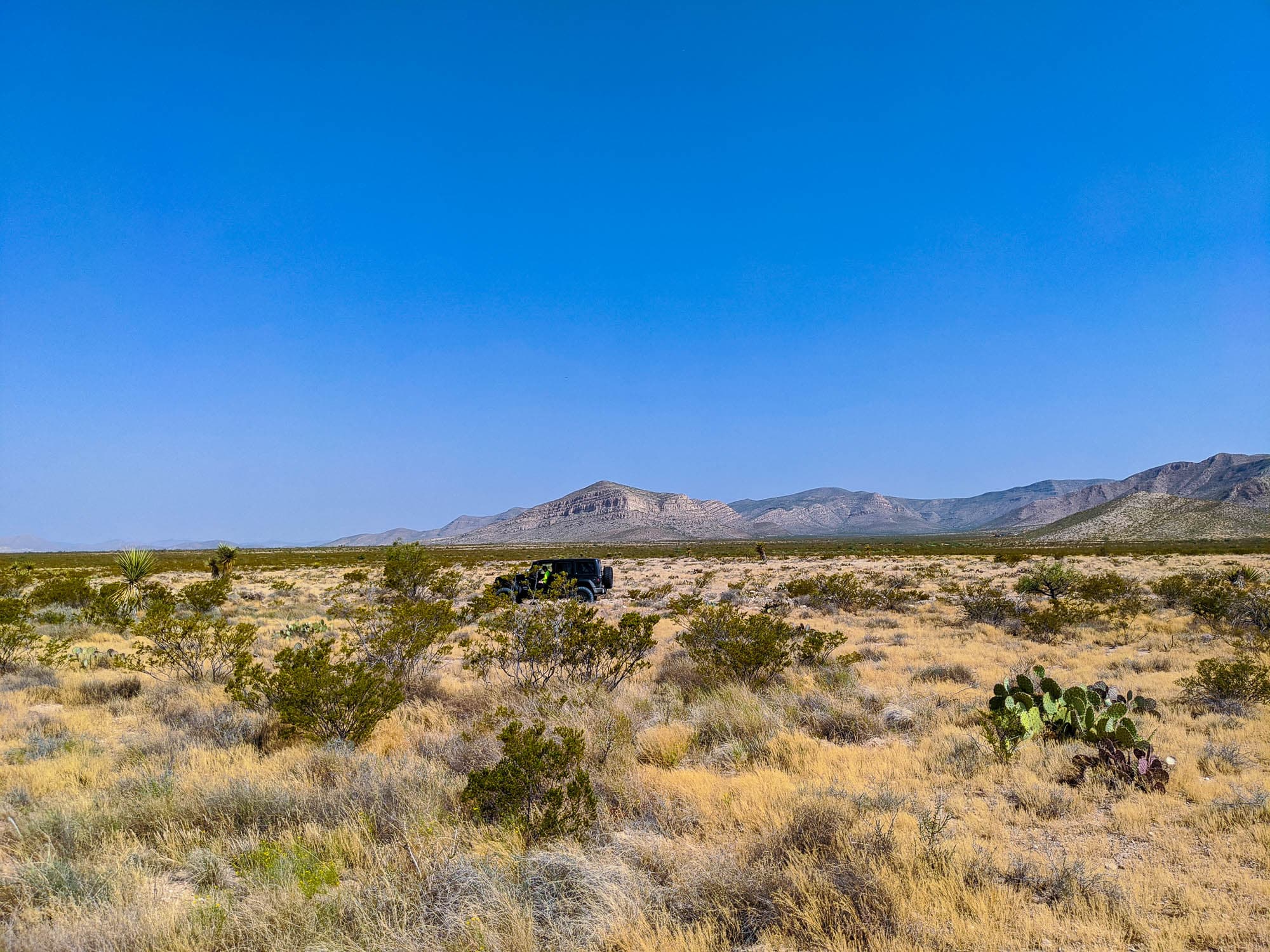 Chihuahuan desert terrain with sparse vegetation and mountains visible on the horizon in El Paso County, Texas.