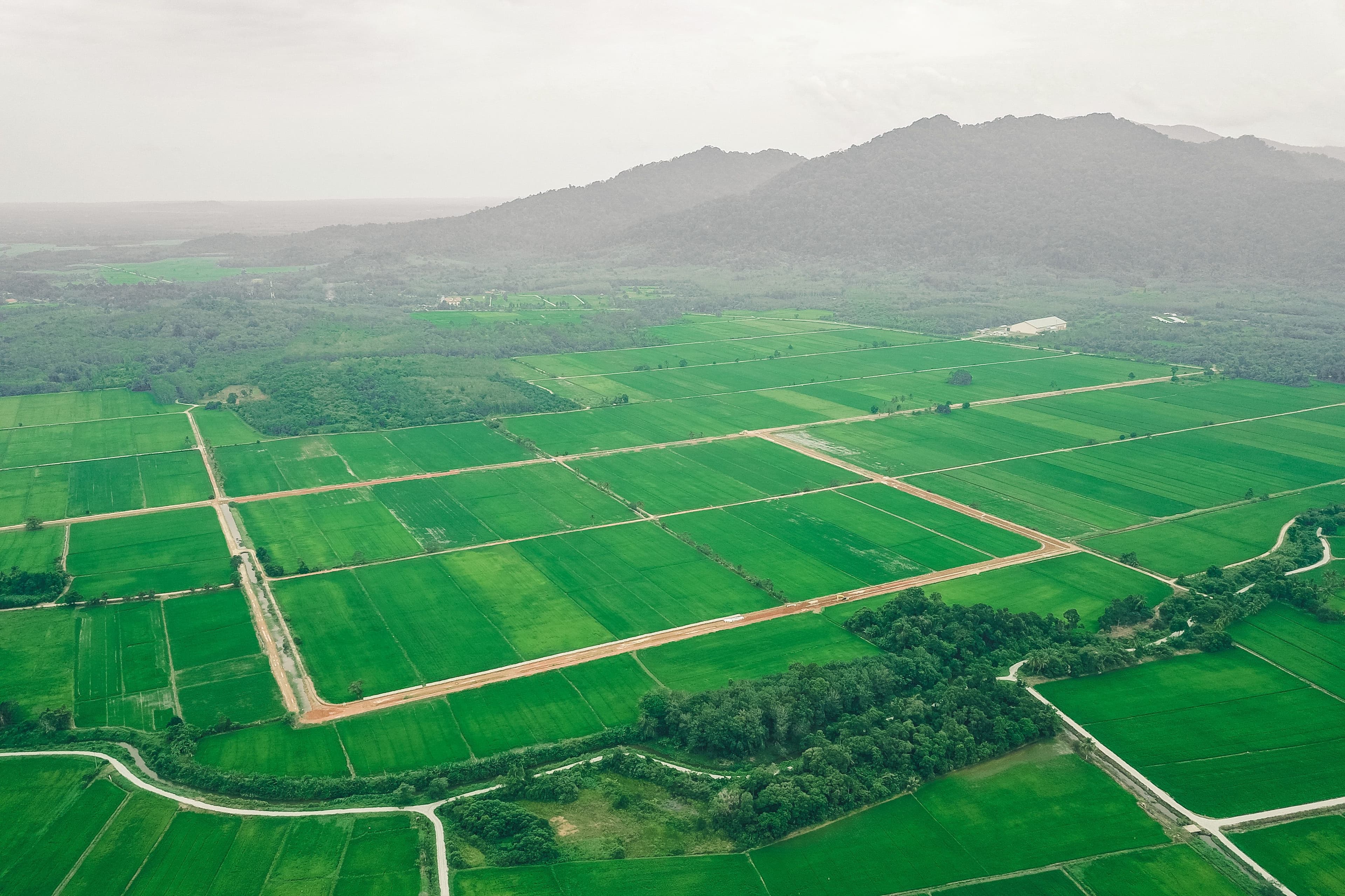 Aerial view of green field squares divided by dirt tracks, with a forested ridge behind under hazy sky