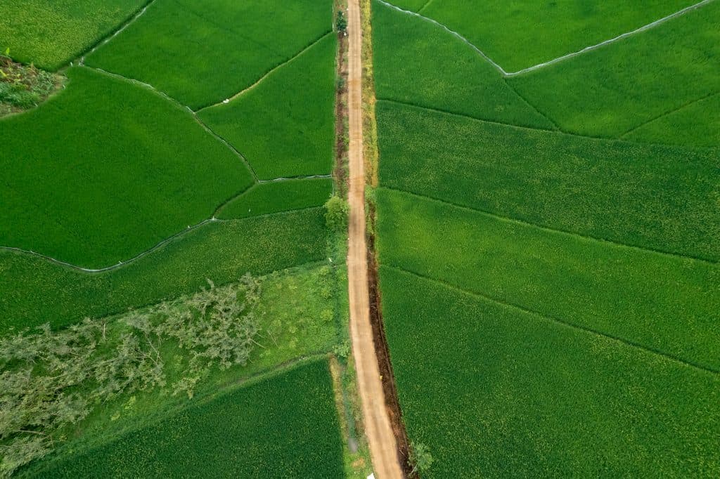 An aerial view of green fields divided by hedgerows with a dirt track running through.