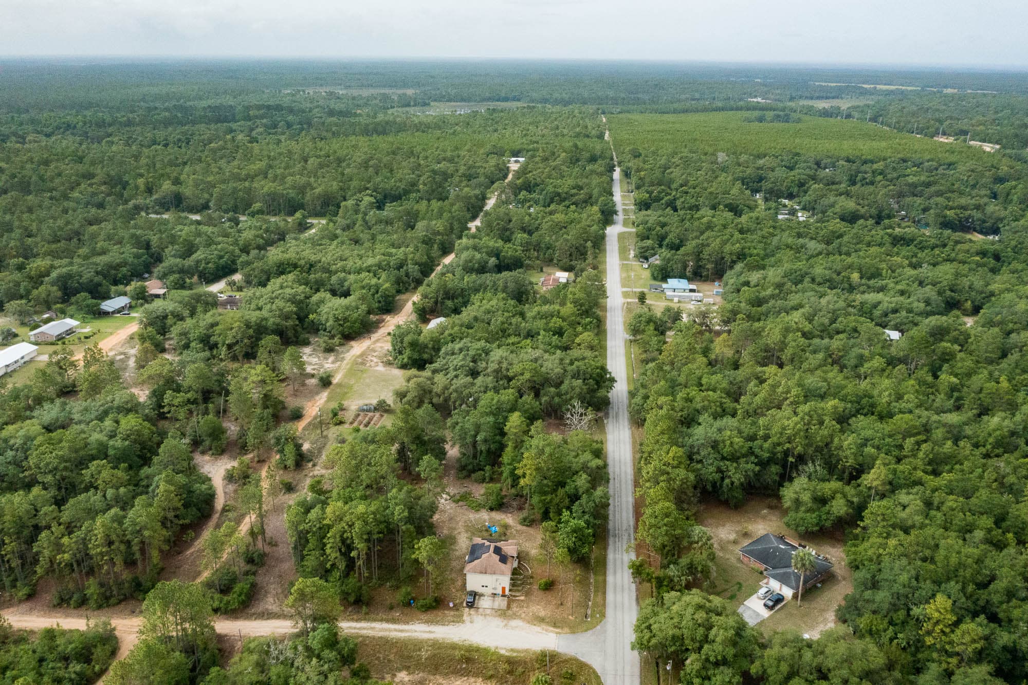 Aerial view of mixed forest cover with scattered clearings and rural roads cutting through in Putnam County, Florida.