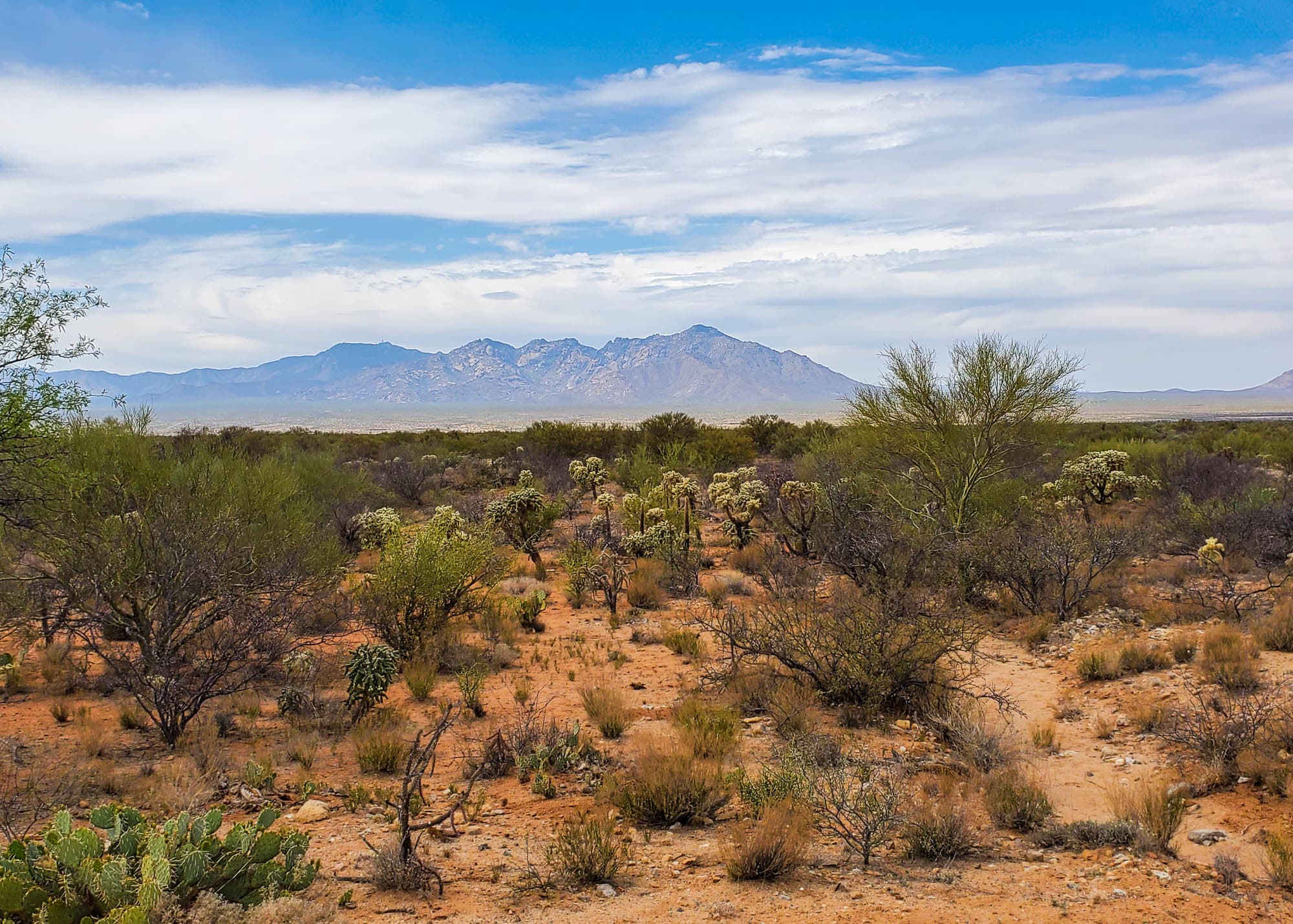 Distant mountain range visible across sparse desert vegetation and sandy terrain in Pima County, Arizona.