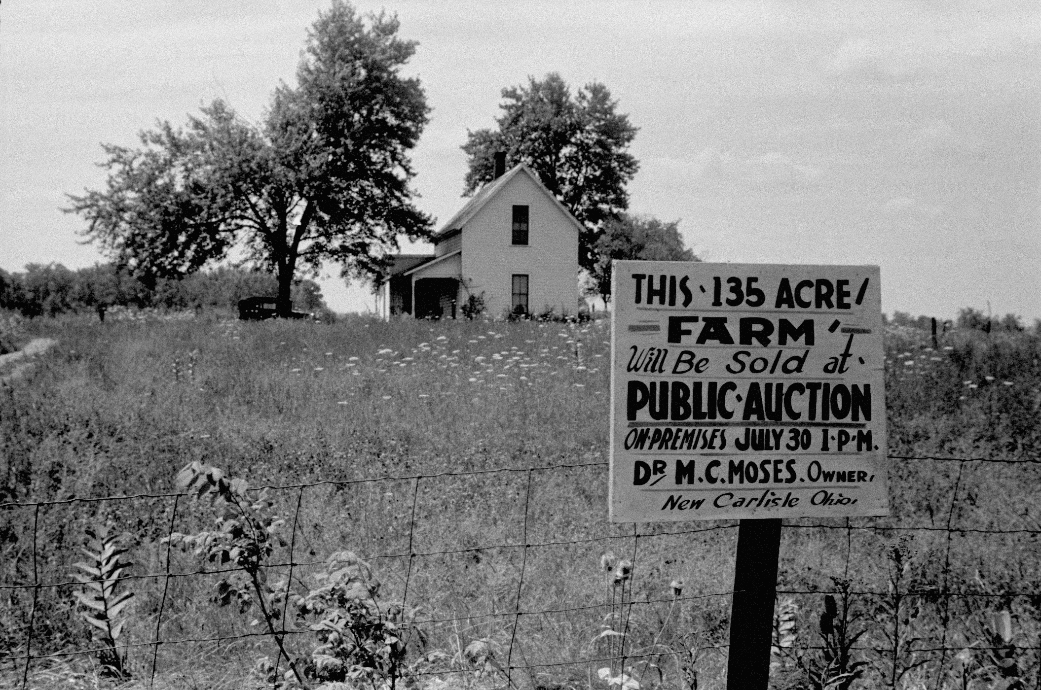 A hand-lettered roadside sign reading THIS 135 ACRE FARM WILL BE SOLD AT PUBLIC AUCTION standing in tall grass, with a white farmhouse and a bare tree on the rise behind it.