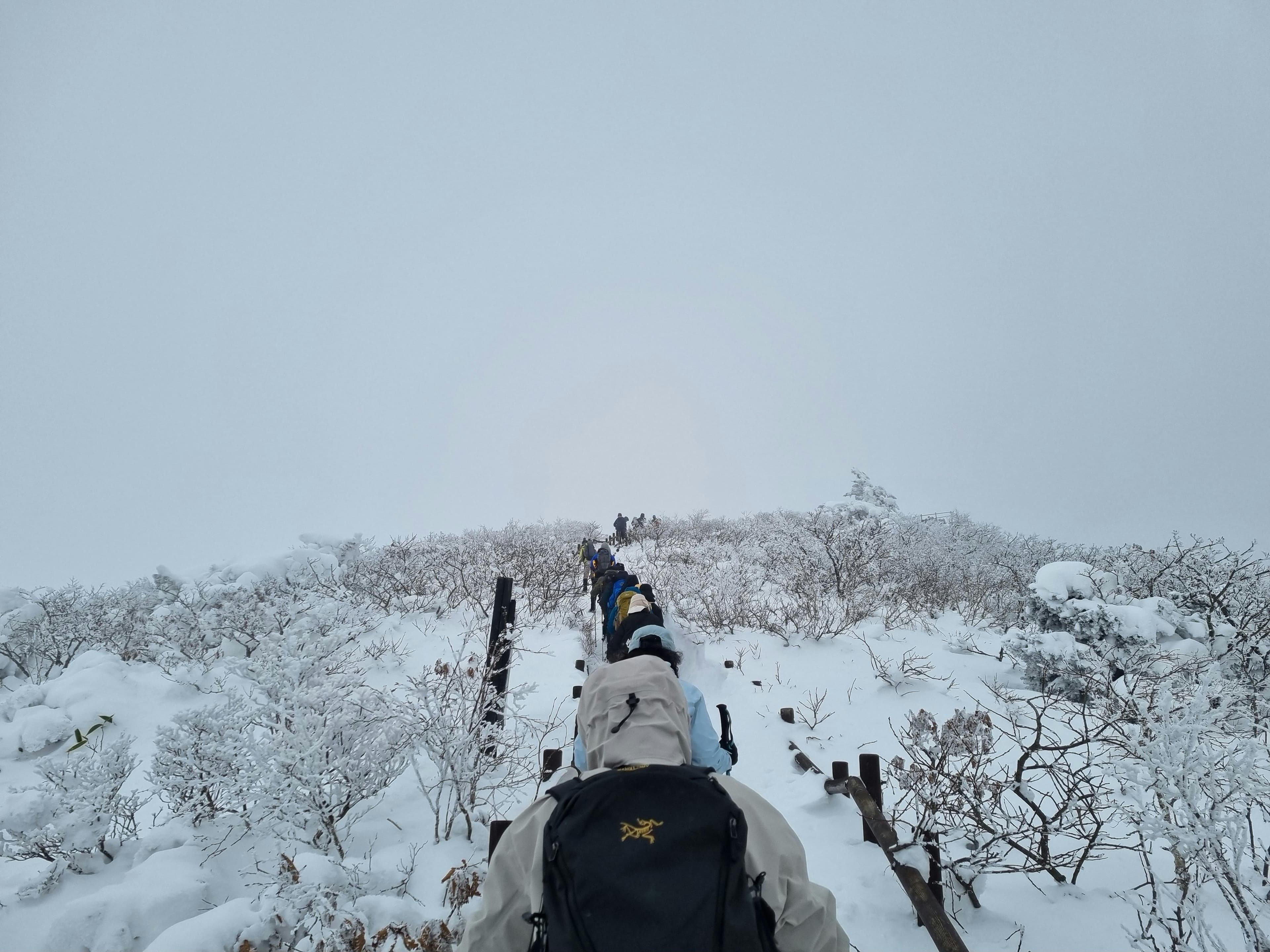A hiker's view past their own pack along a snow-covered trail through frost-coated brush in flat light.
