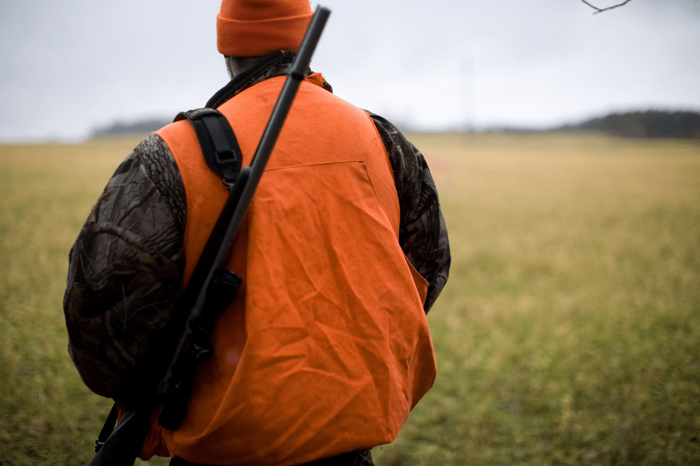 A hunter in a blaze orange vest and cap seen from behind, rifle slung over one shoulder, facing an open green field under an overcast sky.