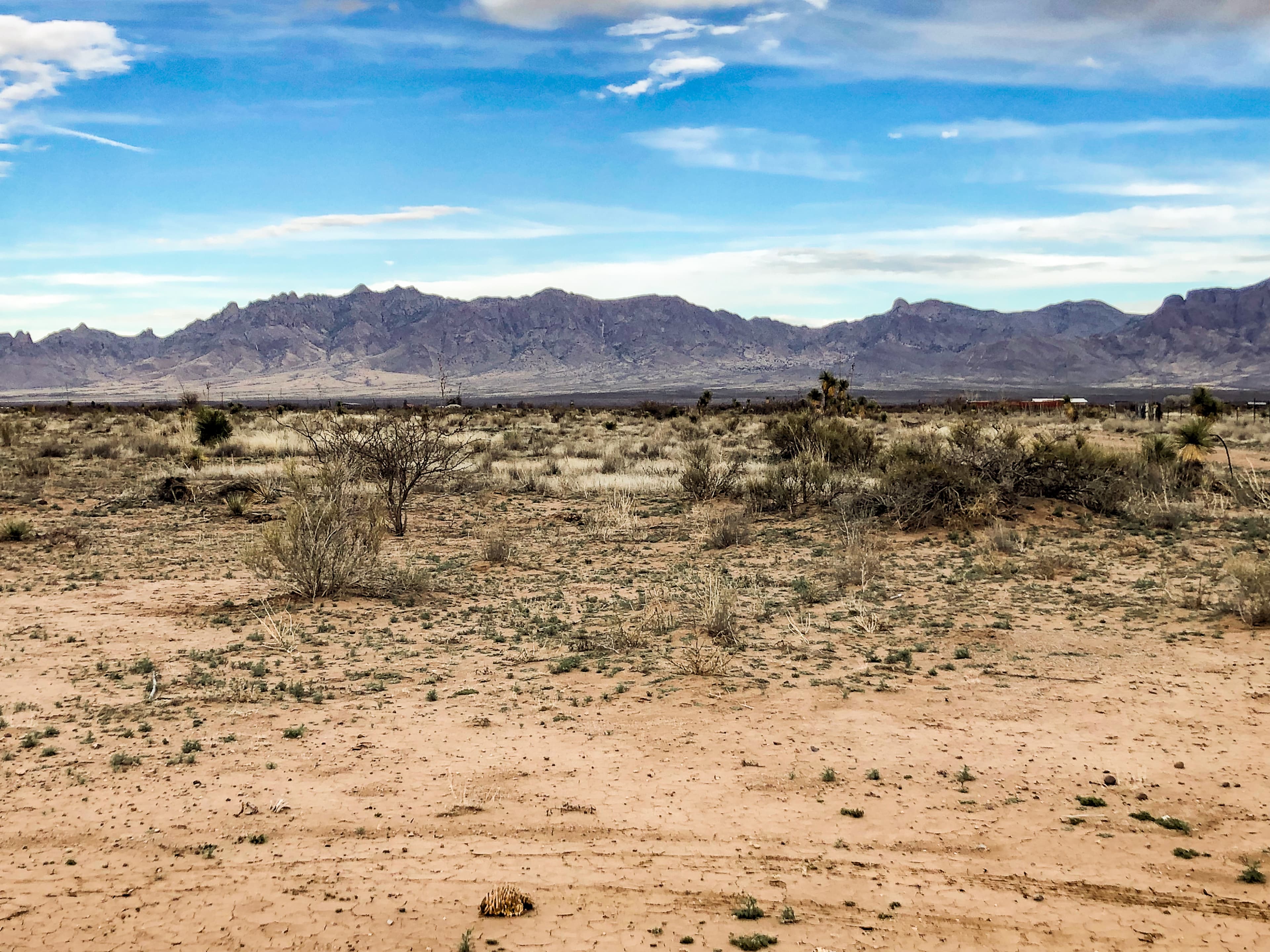 Wide expanse of low desert vegetation with mountain range visible across the valley in Luna County, New Mexico.