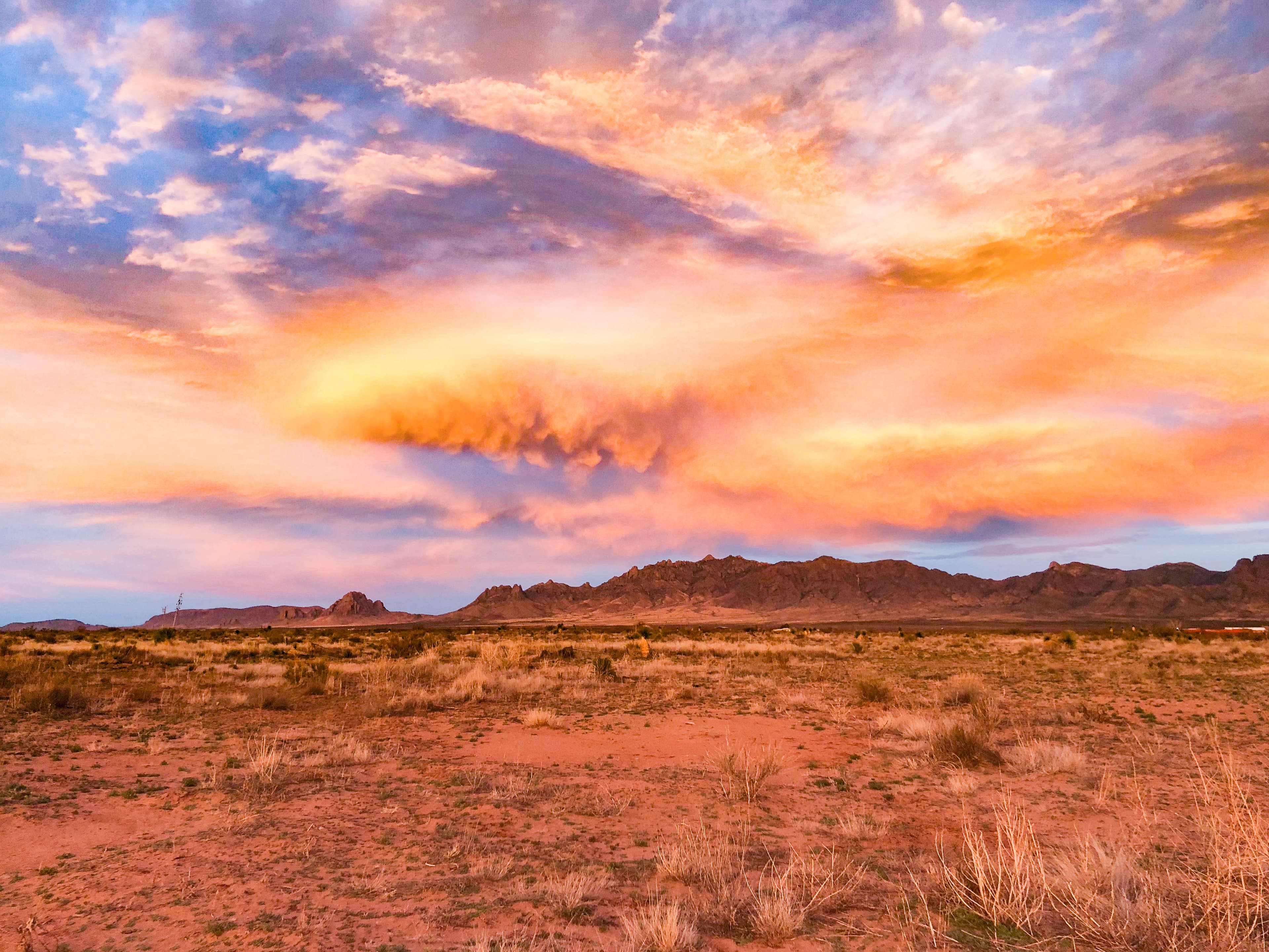 Desert landscape in golden light with rugged mountain peaks in the distance near Deming, New Mexico.