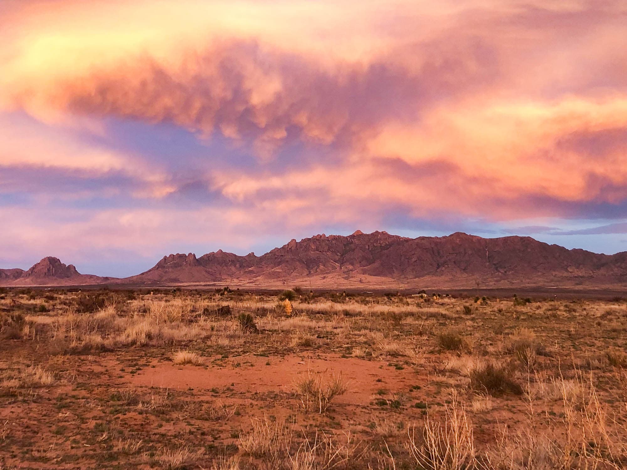 Rocky mountain ridge with desert terrain and sparse brush in the foreground near Deming, New Mexico.