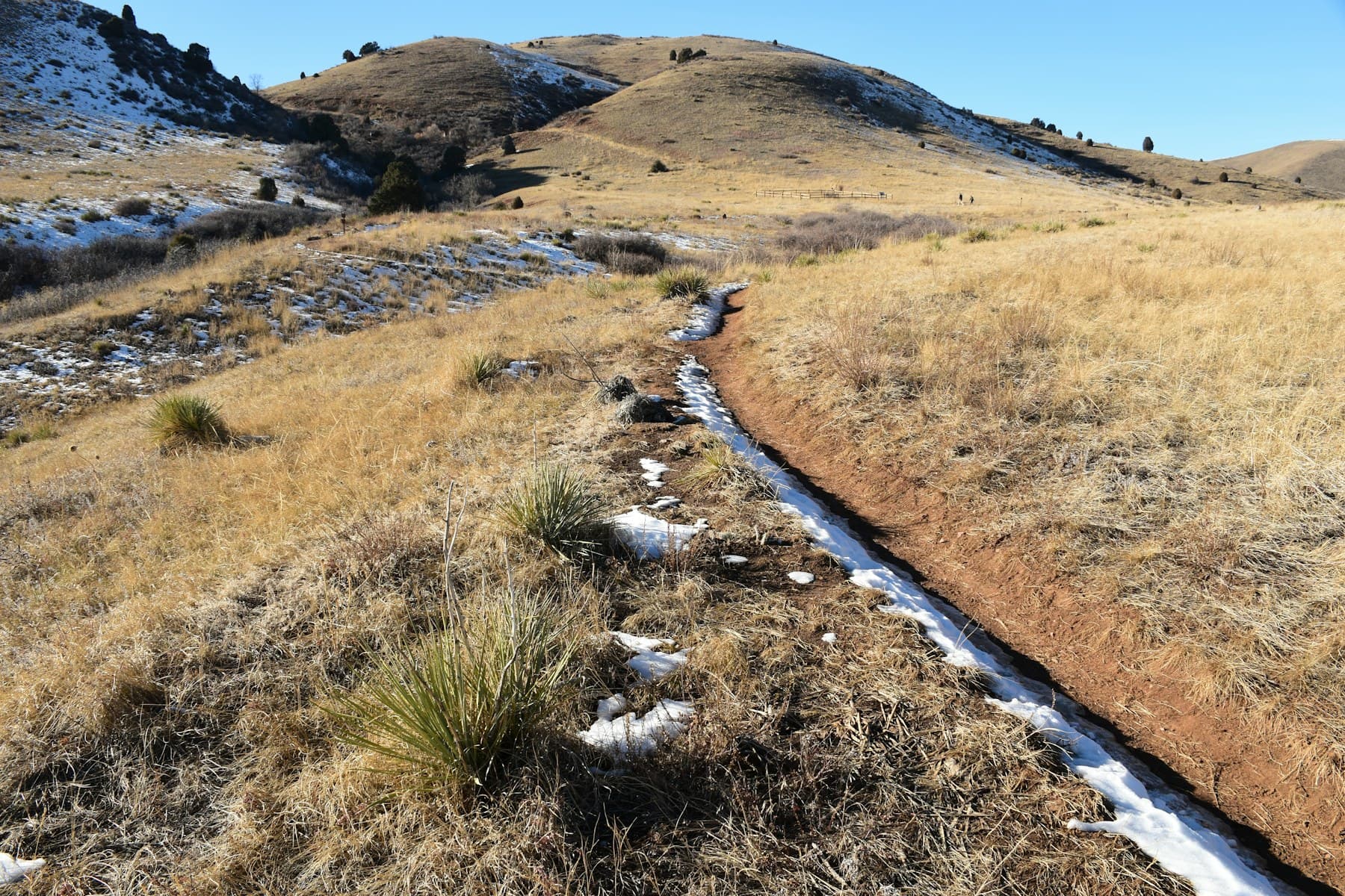 A narrow irrigation ditch carrying water across a dry brown hillside with patches of snow, bunchgrass and yucca on both banks.