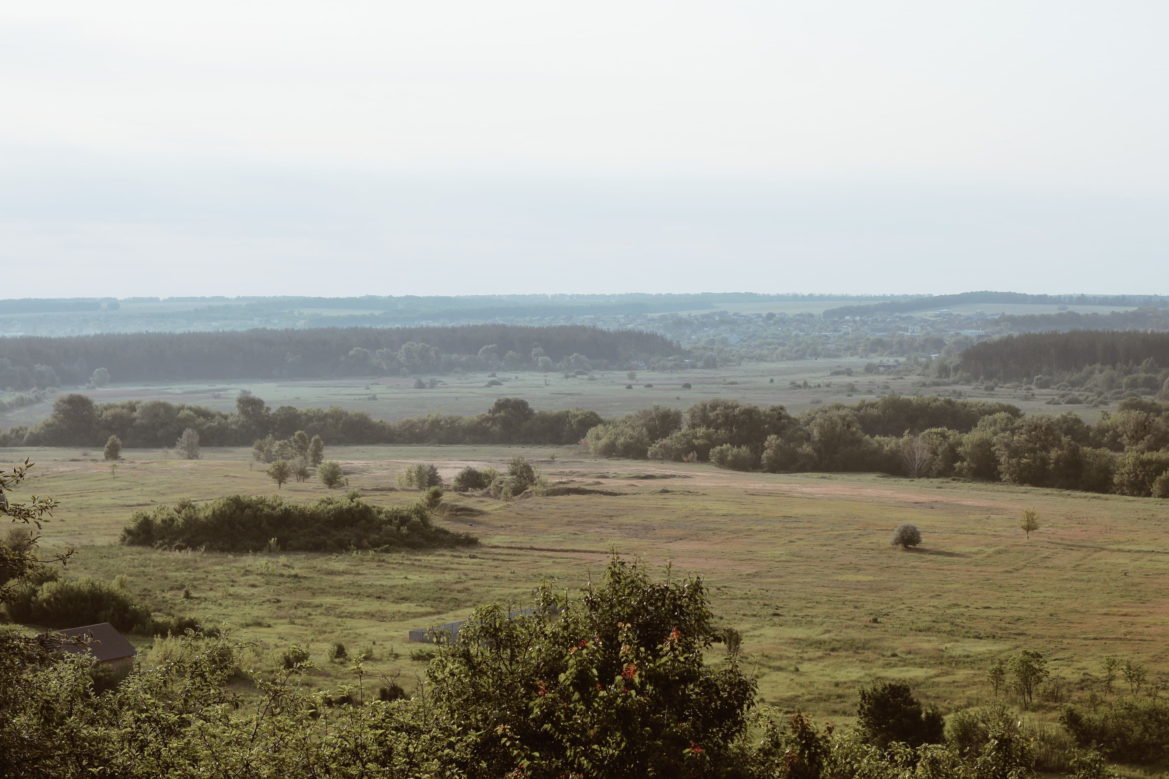 Open grass and low scrub running out to a distant tree-lined ridge under a pale sky.