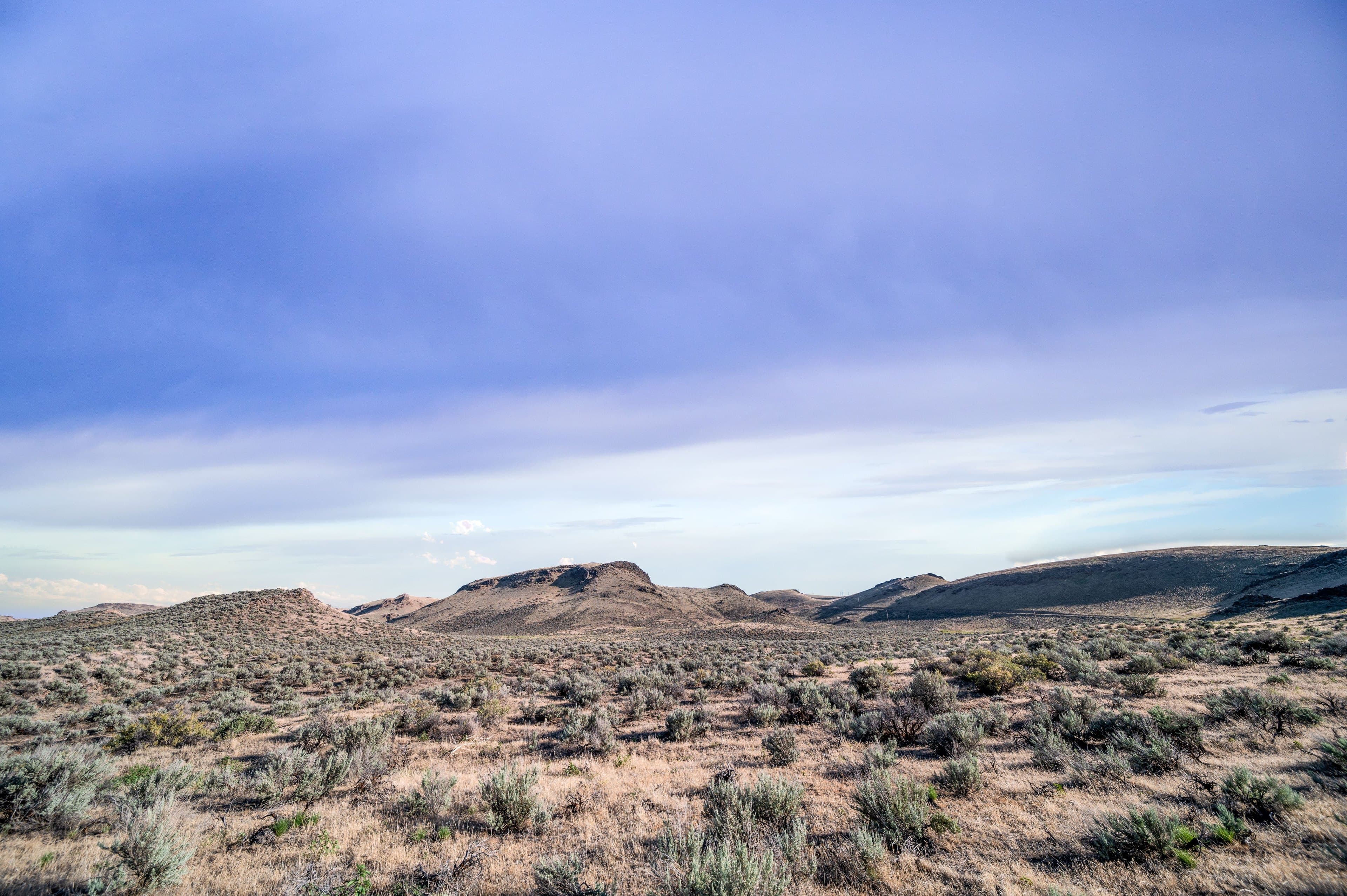 An open sage flat running to a low mesa under a pale sky.