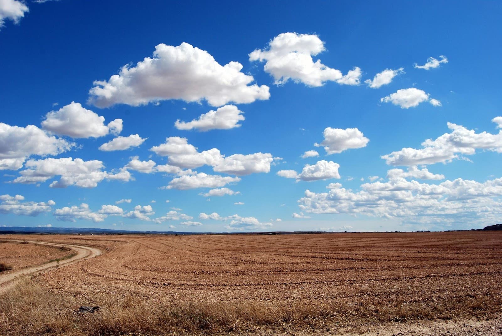 A plowed field running to a flat horizon under a wide blue sky, a dirt track curving along its near edge.