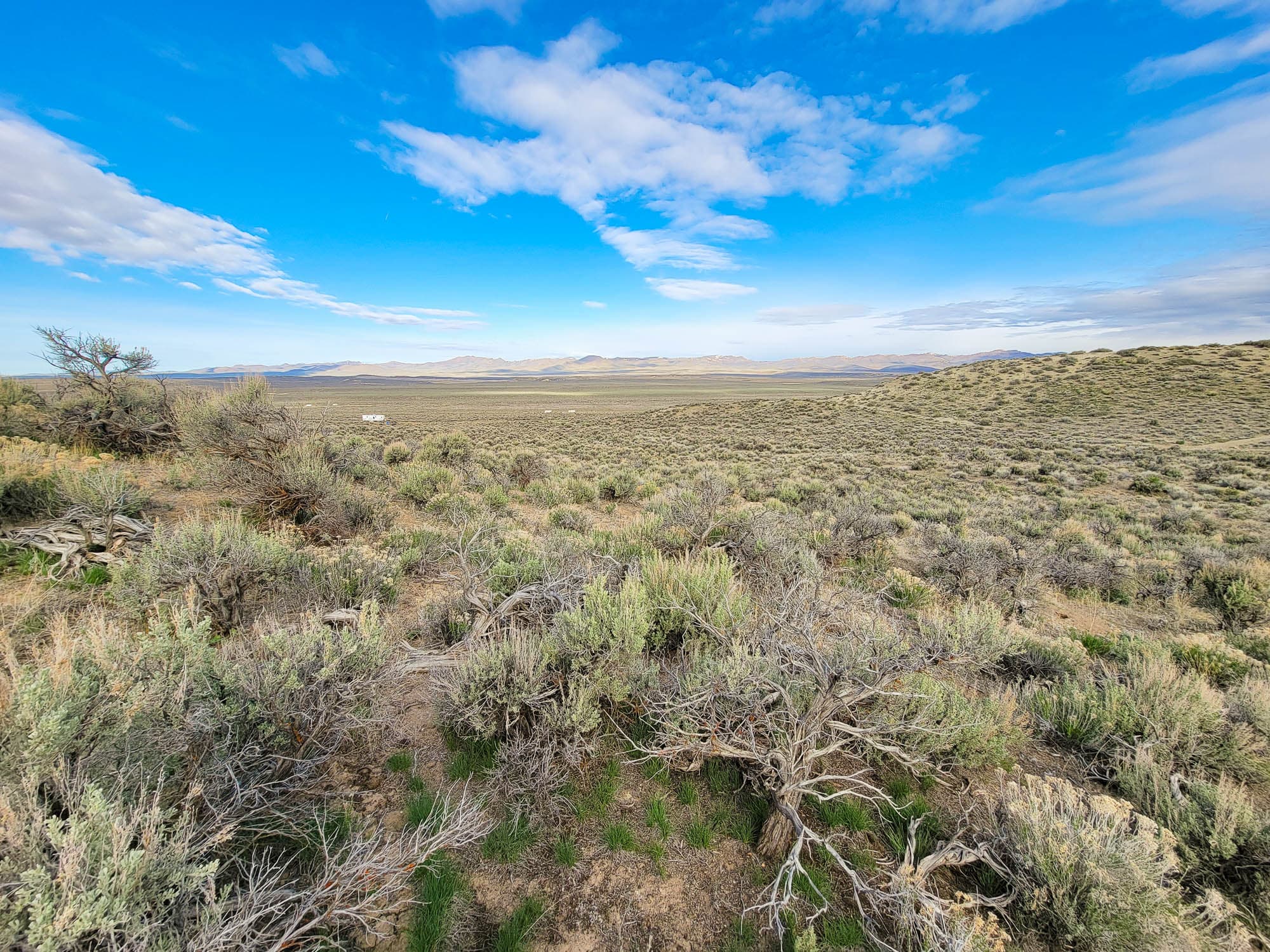 Sagebrush in the foreground falling away to a broad open valley with low mountains on the far side, high cirrus overhead.