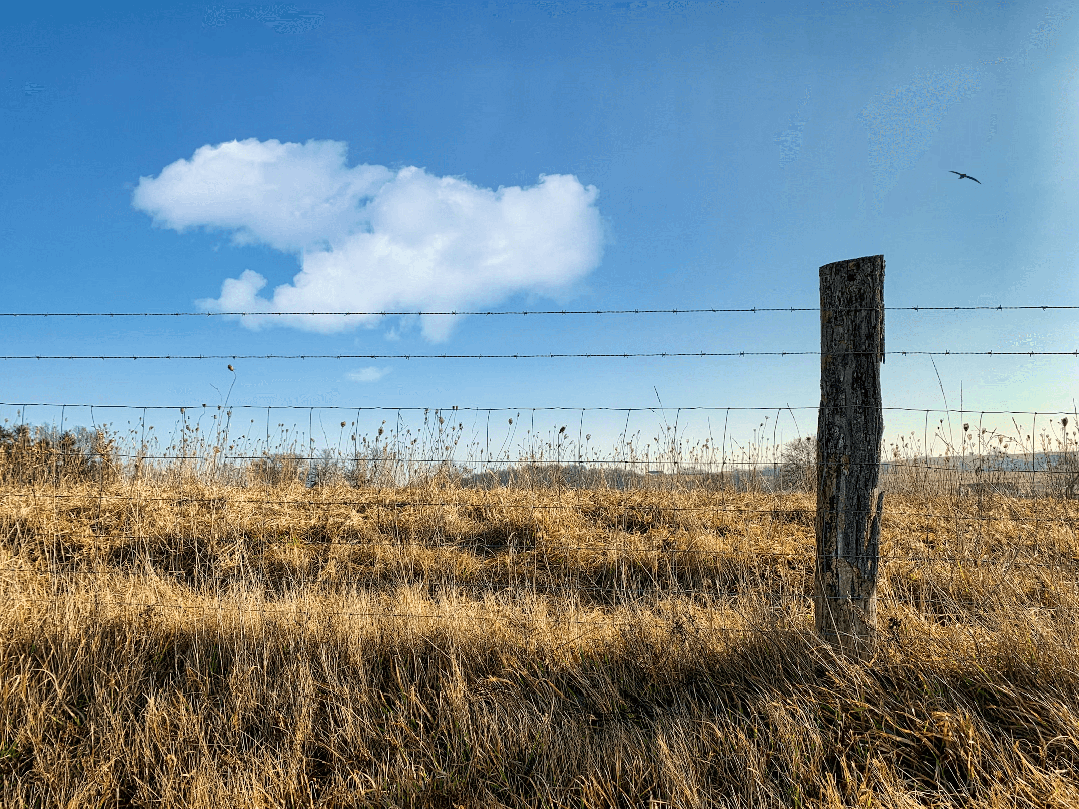 A single weathered wooden fence post standing in dry winter grass with two wire strands running off it, big cumulus cloud overhead.
