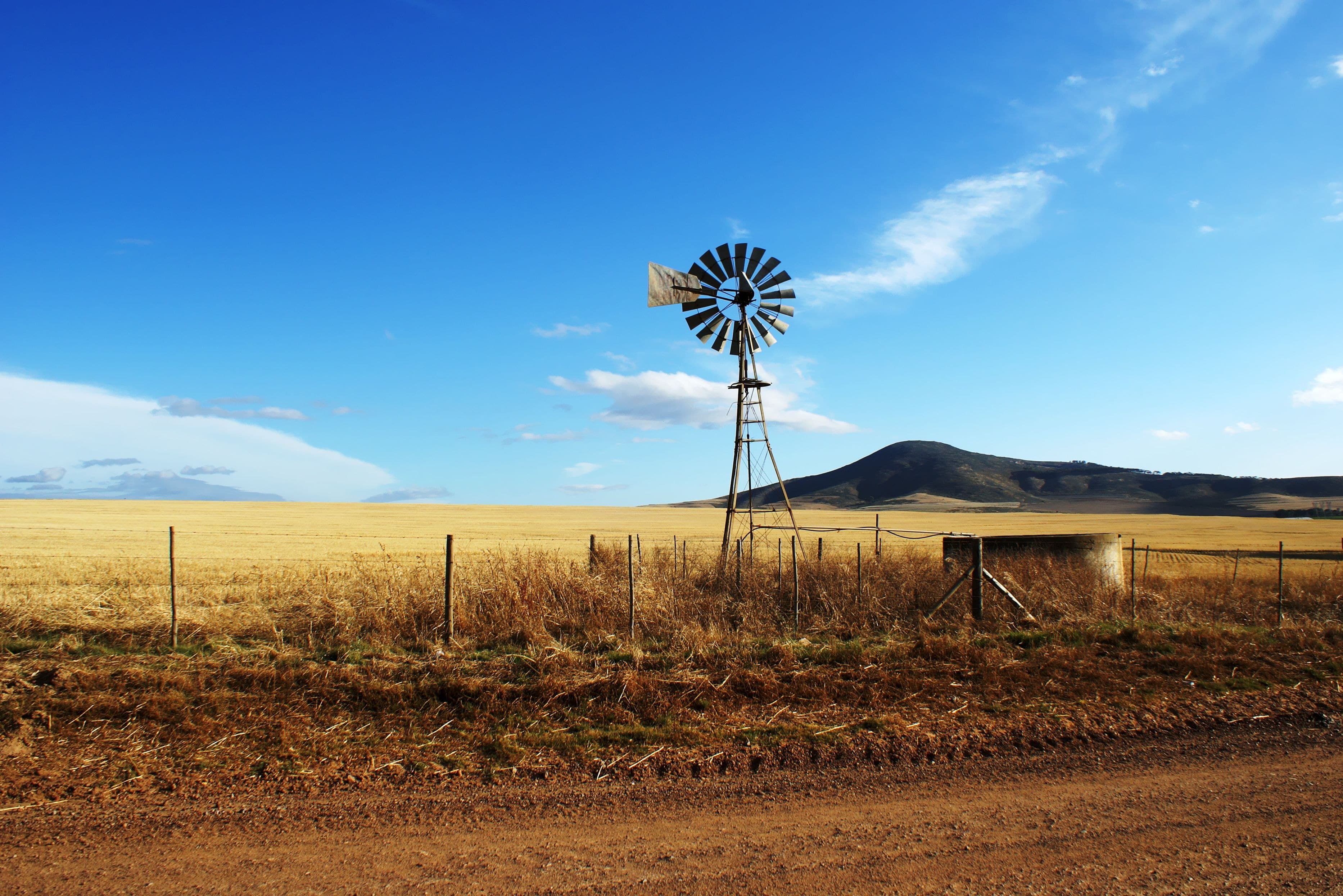 A steel farm windmill standing beside a dirt road on open grassland under a blue sky.