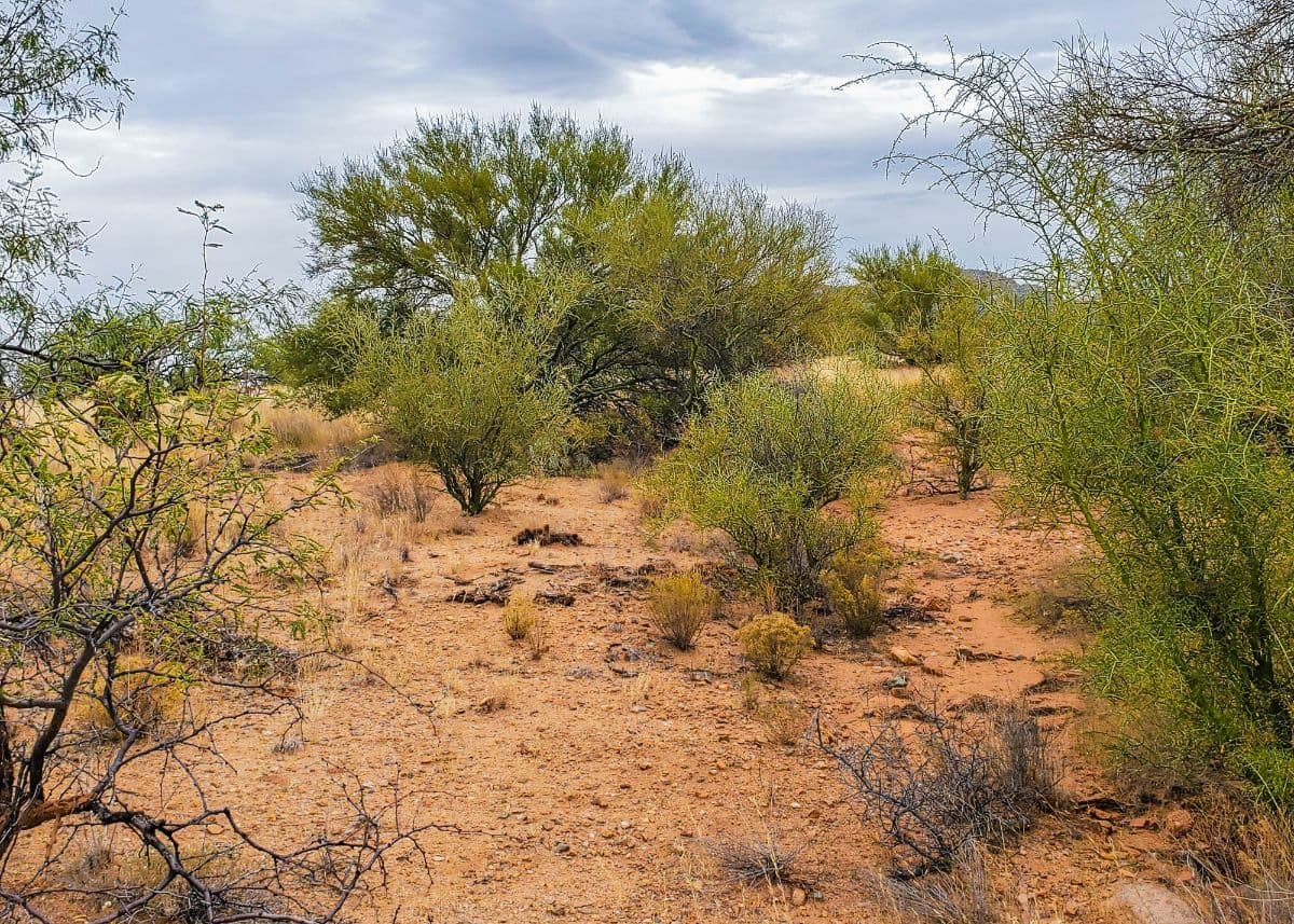 Arizona land