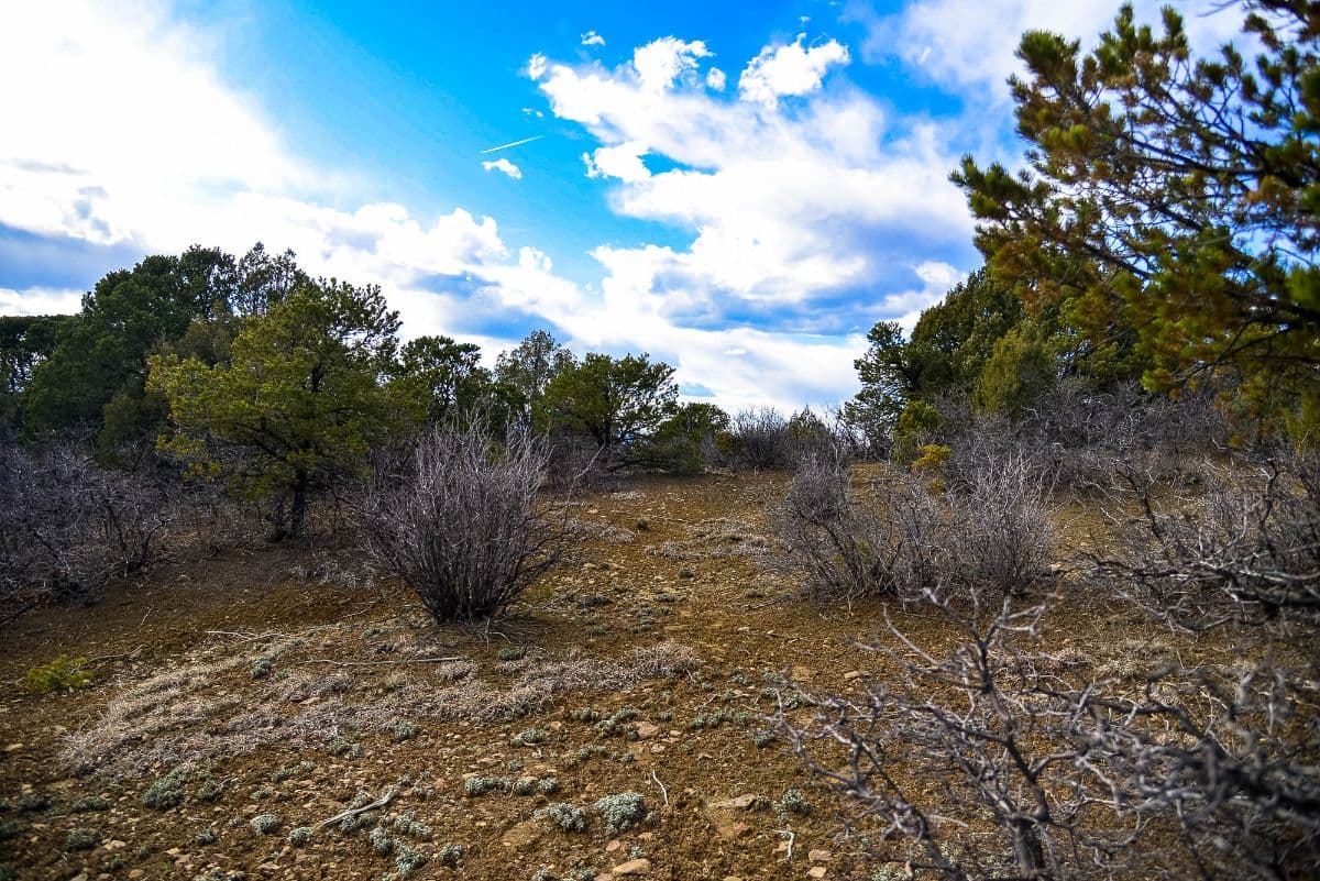 Colorado land