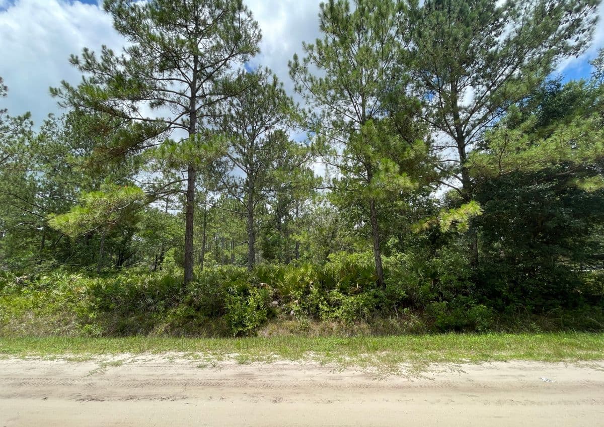 Florida land