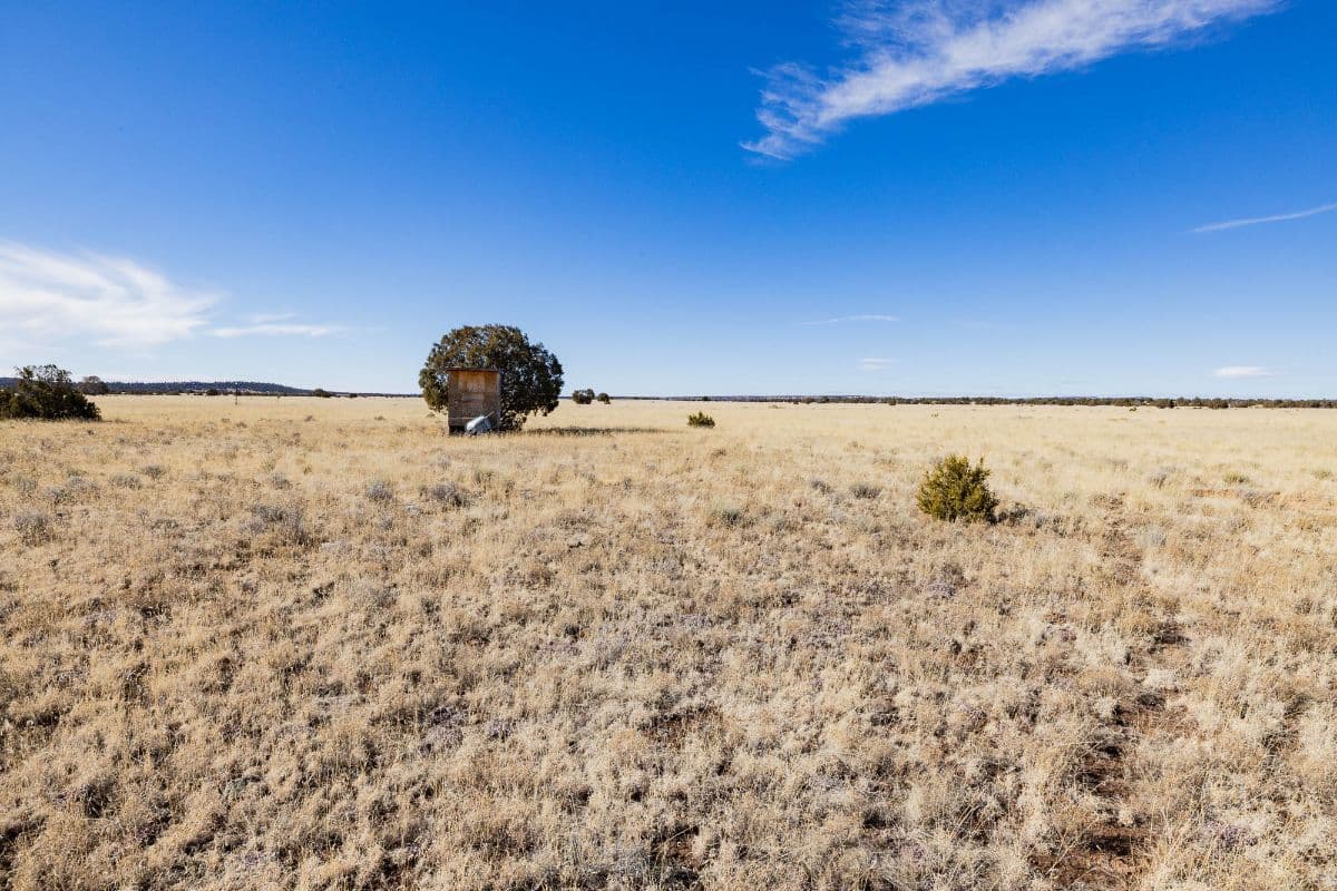 New Mexico land