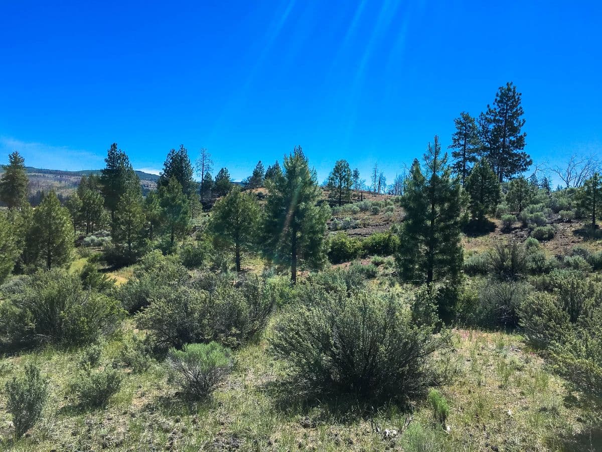 Oregon land