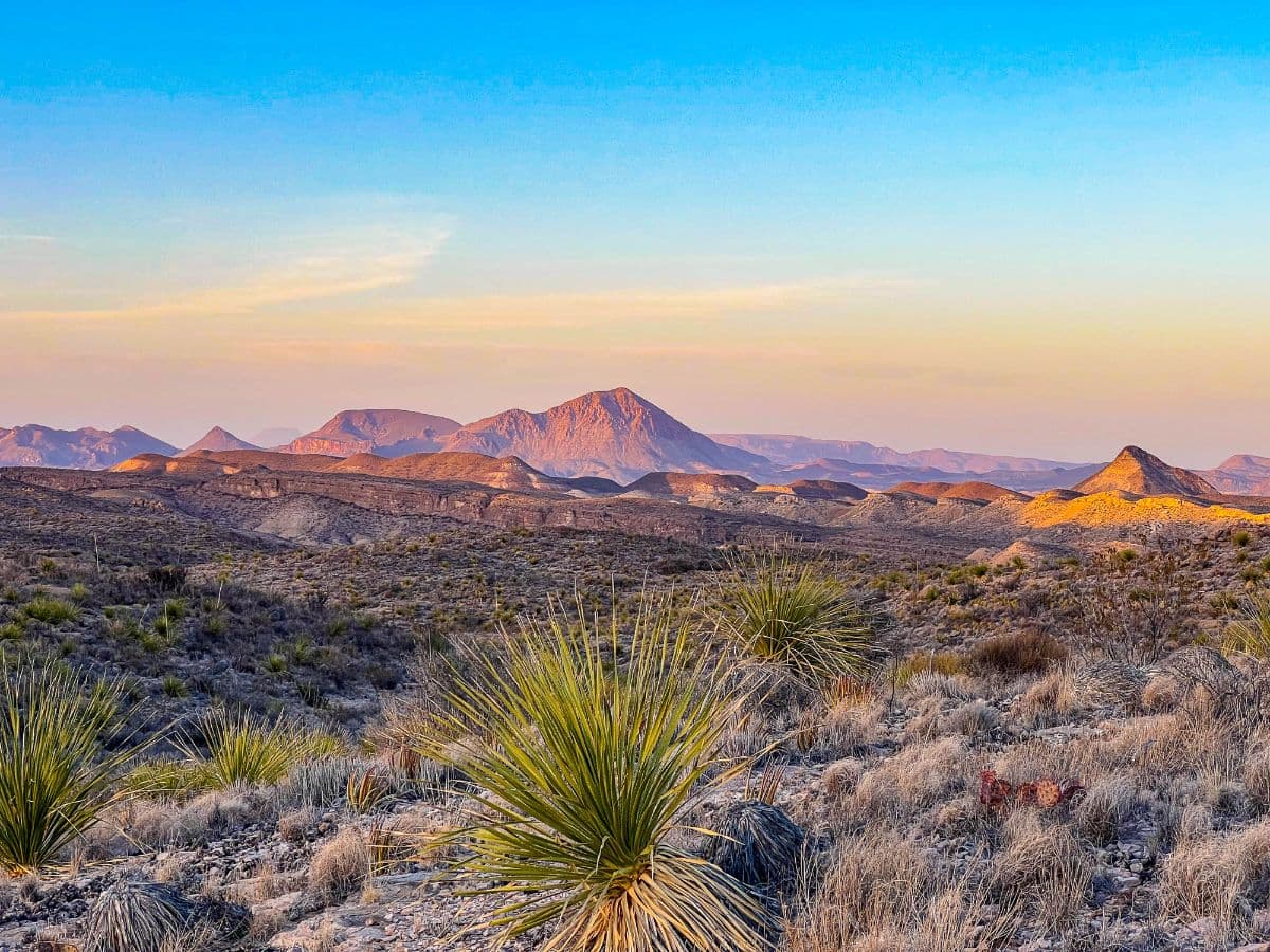 West Texas land